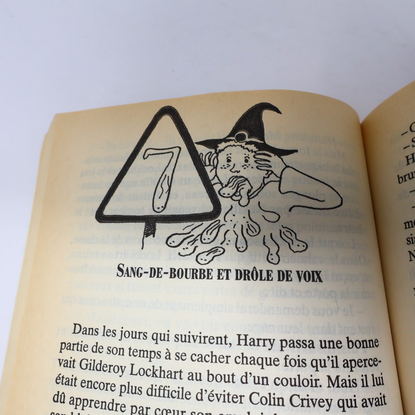 Harry Potter et la Chambre des Secrets Livre 1ère Édition Illustrée Août 1999 PB