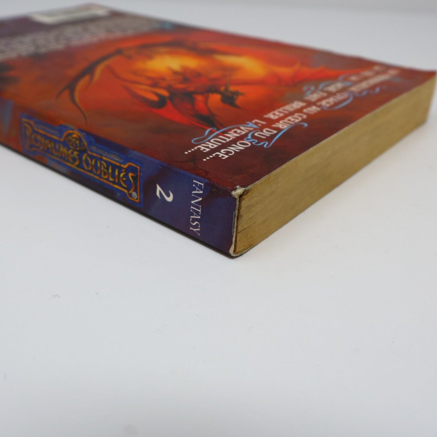 2003 Royaumes Oubliés #2 Tantras La Trilogie des Avatars Forgotten Realms Livre