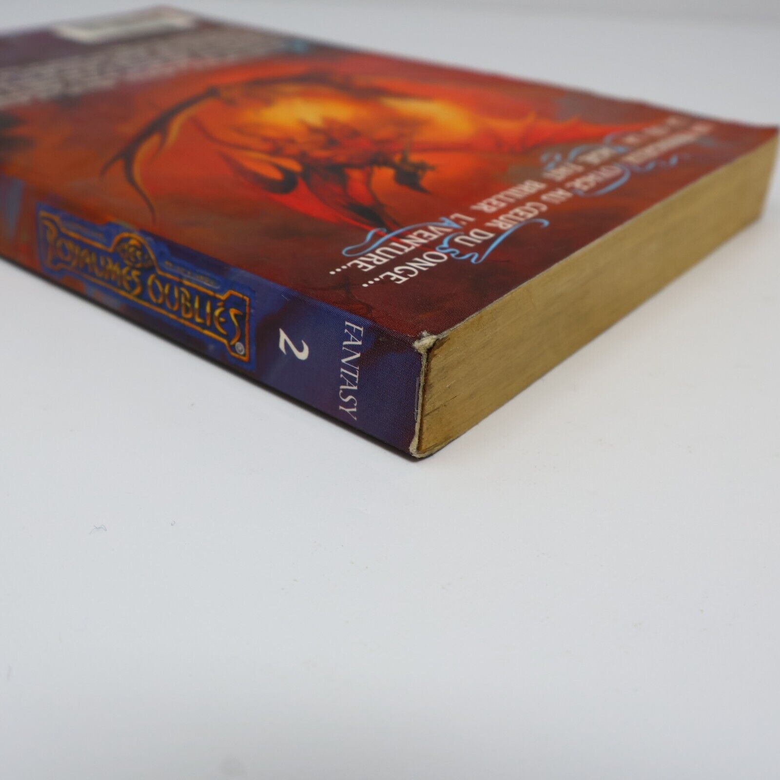 2003 Royaumes Oubliés #2 Tantras La Trilogie des Avatars Forgotten Realms Livre