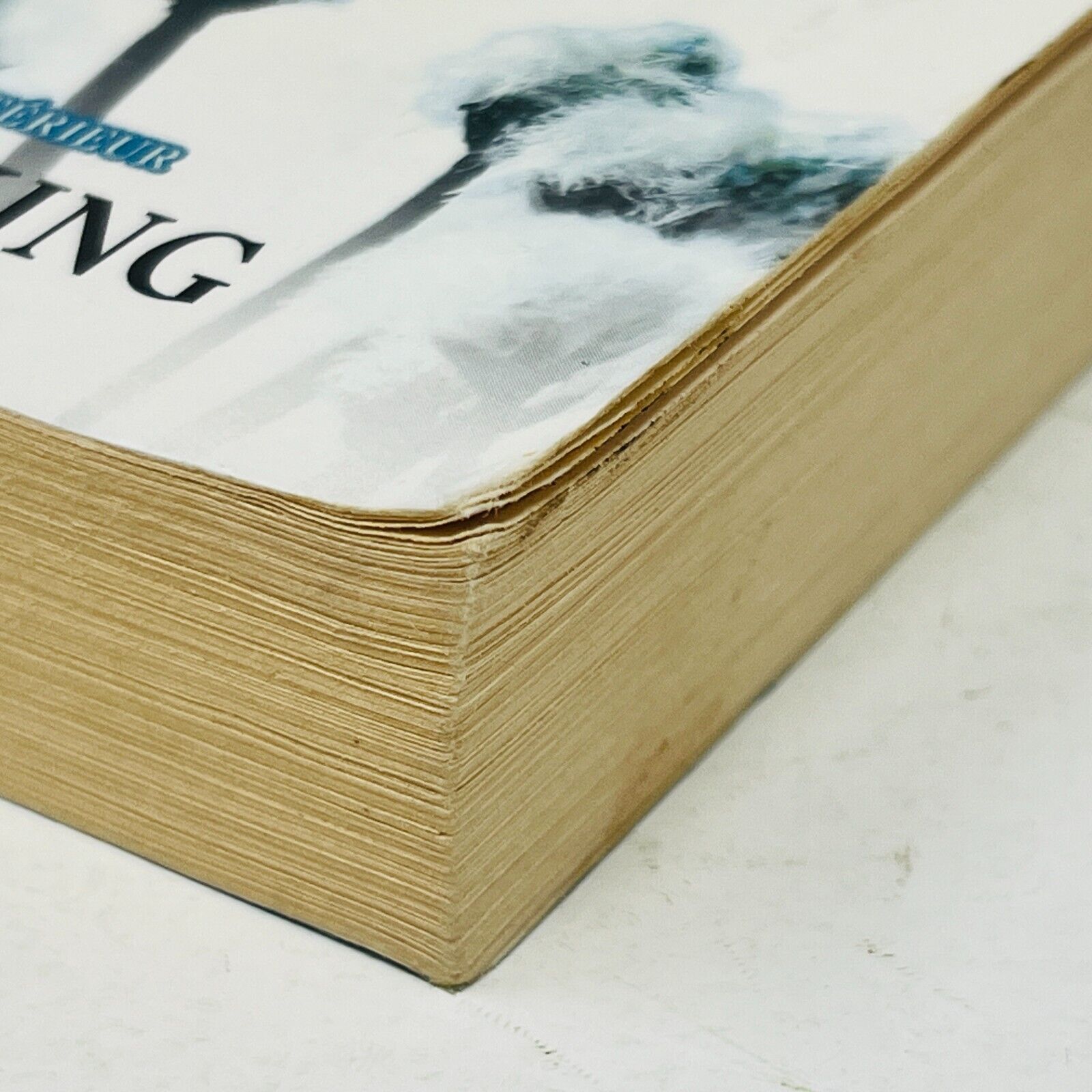 2013 Trylles #2 Déchirée de Amanda Hocking Science-Fiction Dystopie Français ADA