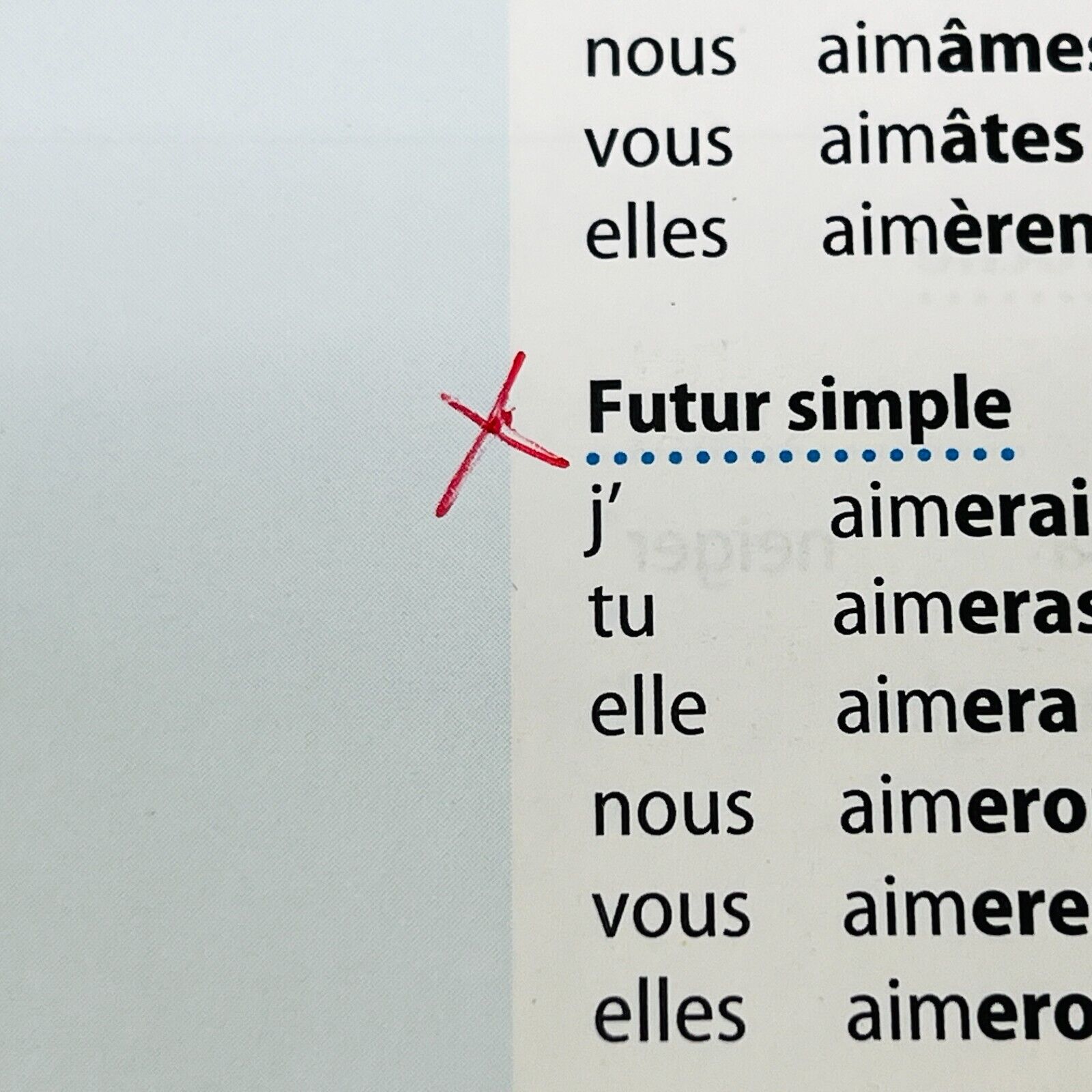 Bescherelle Petit Guide De Conjugaison Junior Livre Hurtubise Grammaire Verbes