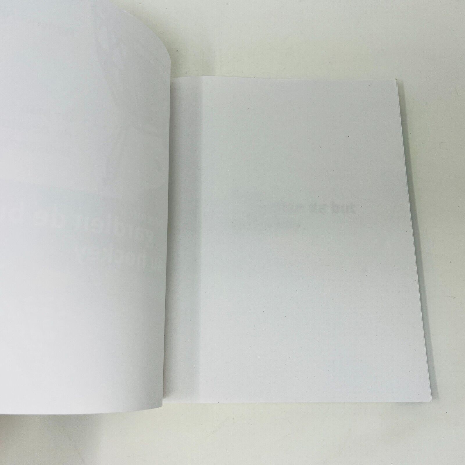 2008 Devenir Gardien de But au Hockey Nouvelle Édition de François Allaire Livre