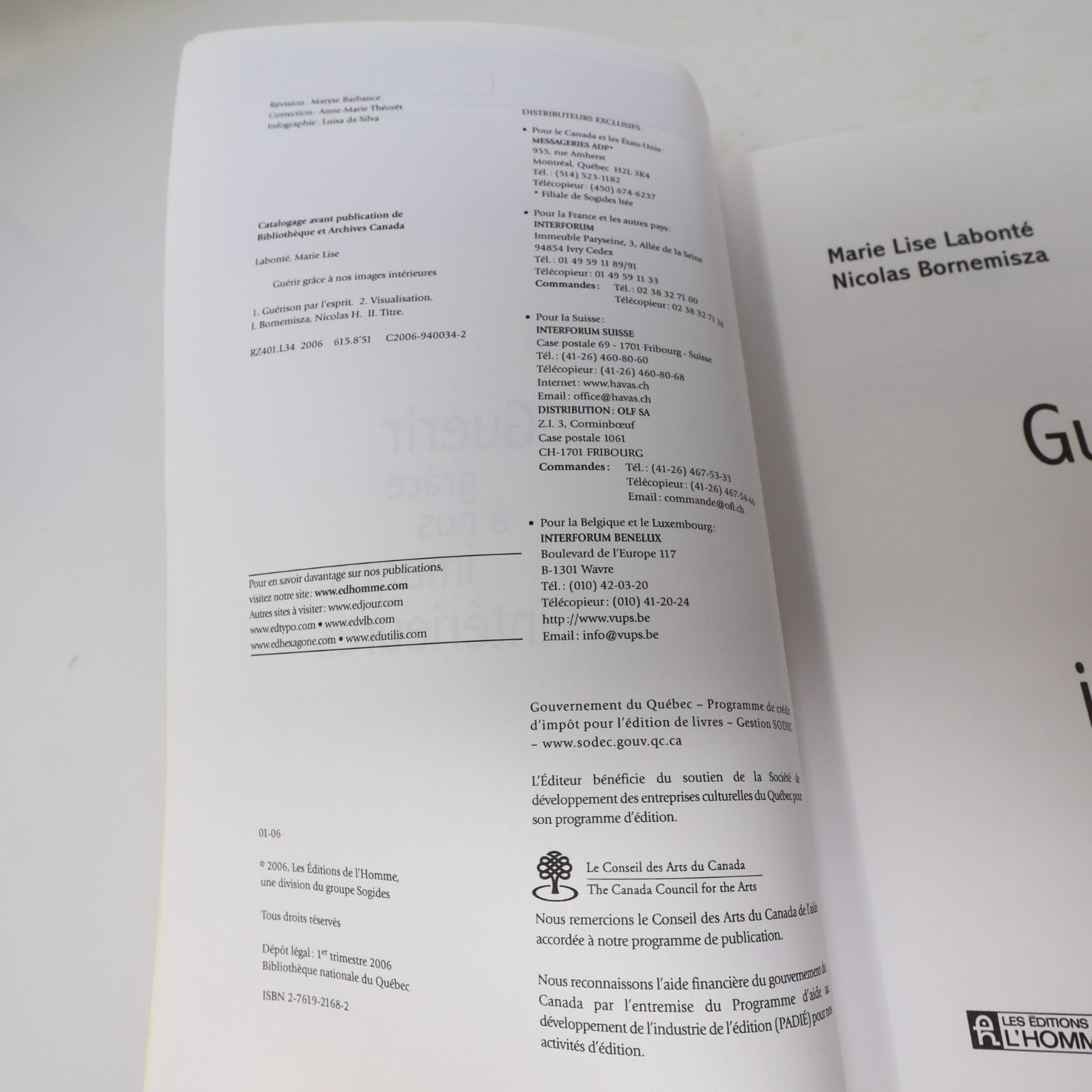 Guérir grâce à nos images intérieures Labonté/Bornemisza 2006 Psychologie PB