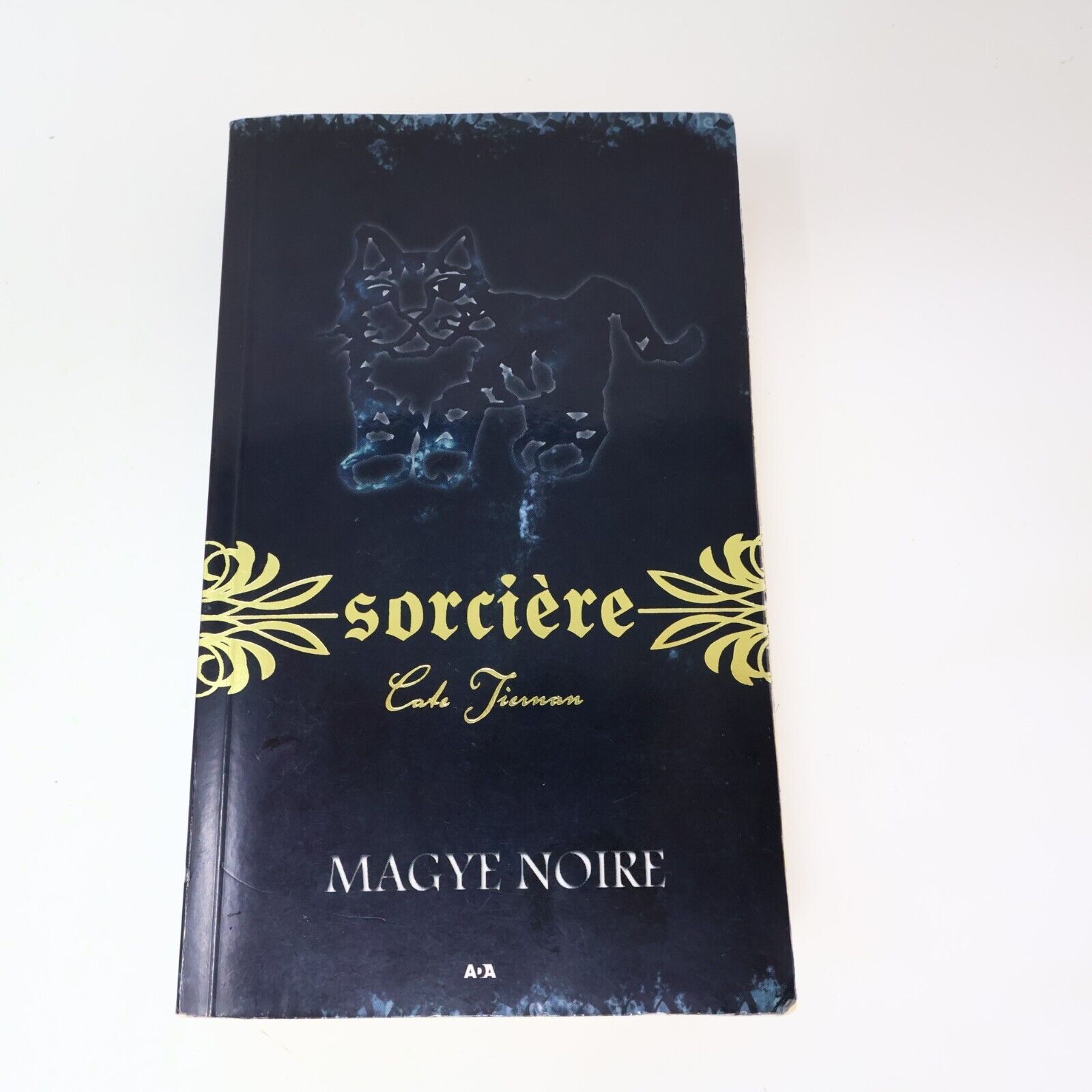 2010 Sorcière #4 Magye Noire de Cate Tiernan Sweep ADA Français Livre Paperback