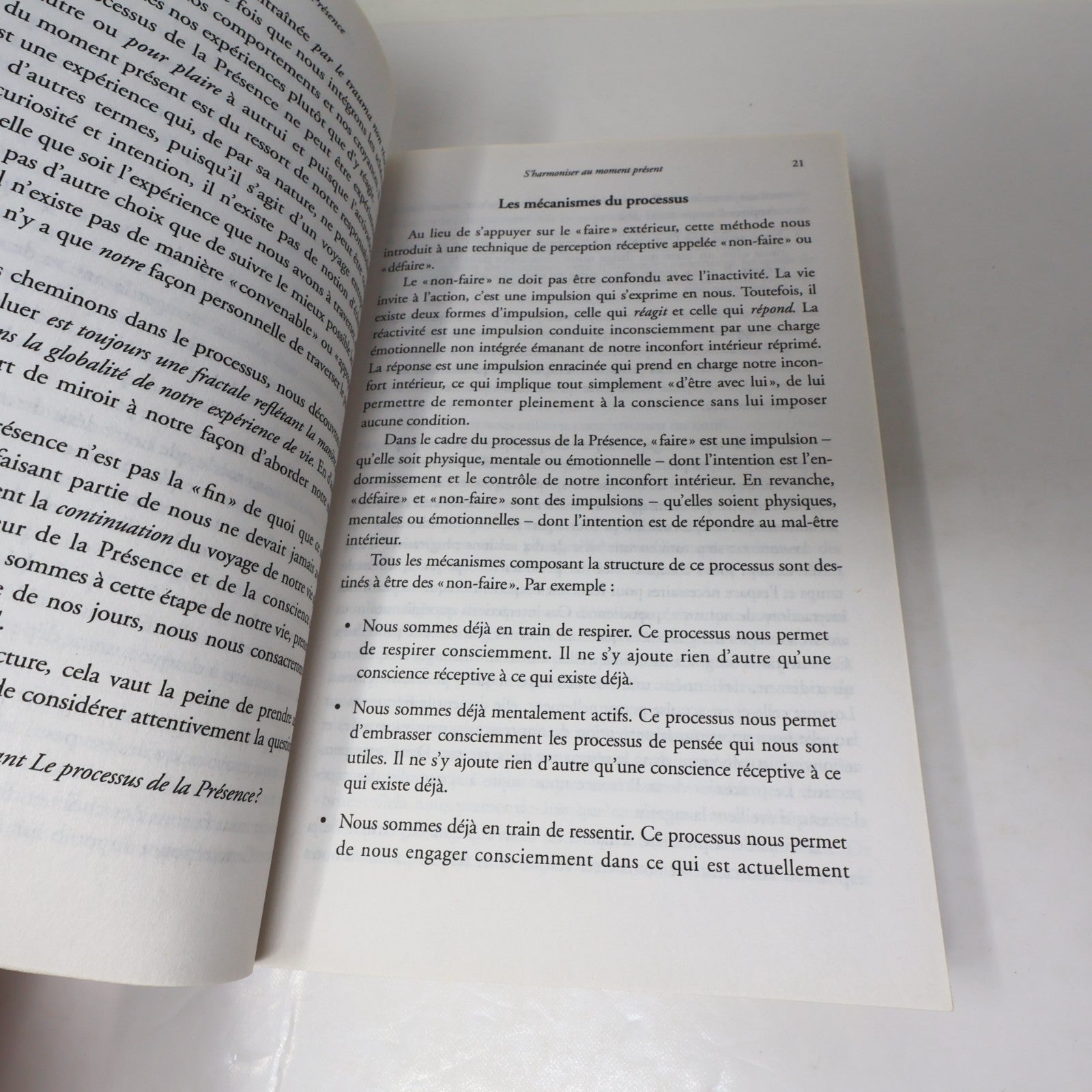 Le Processus de la Présence Michael Brown Ariane 2012 PB Français French Livre