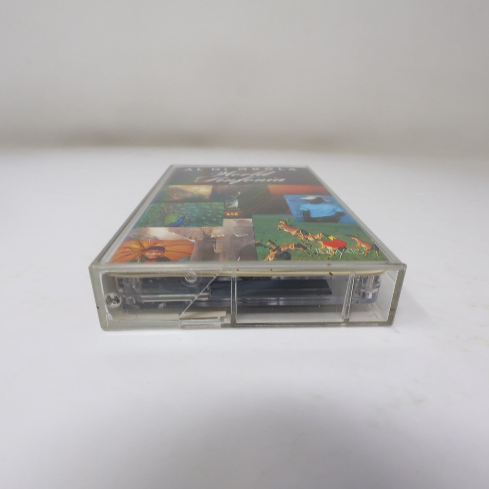 Al Di Meola World Sinfonia Cassette Tomato 1991 R4 79750 Perpetual Emotion