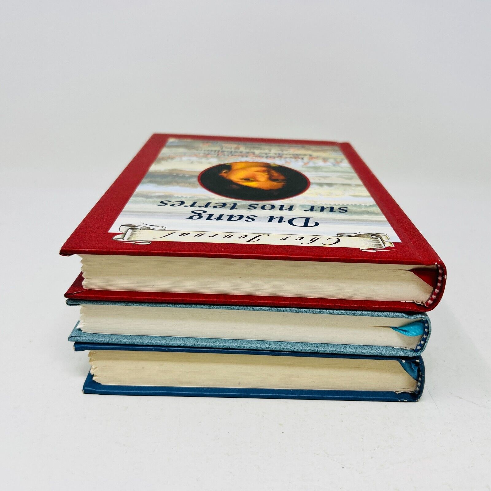 Cher Journal Du Sang sur nos Terres/Entrée Refusée/Ma Soeur Orpheline Lot Livres