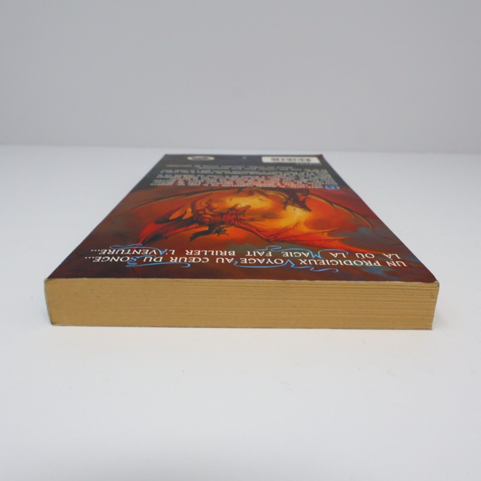 1990 Terre d'Exil Royaumes Oubliés #5 de R. A. Salvatore Forgotten Realms PB 90s
