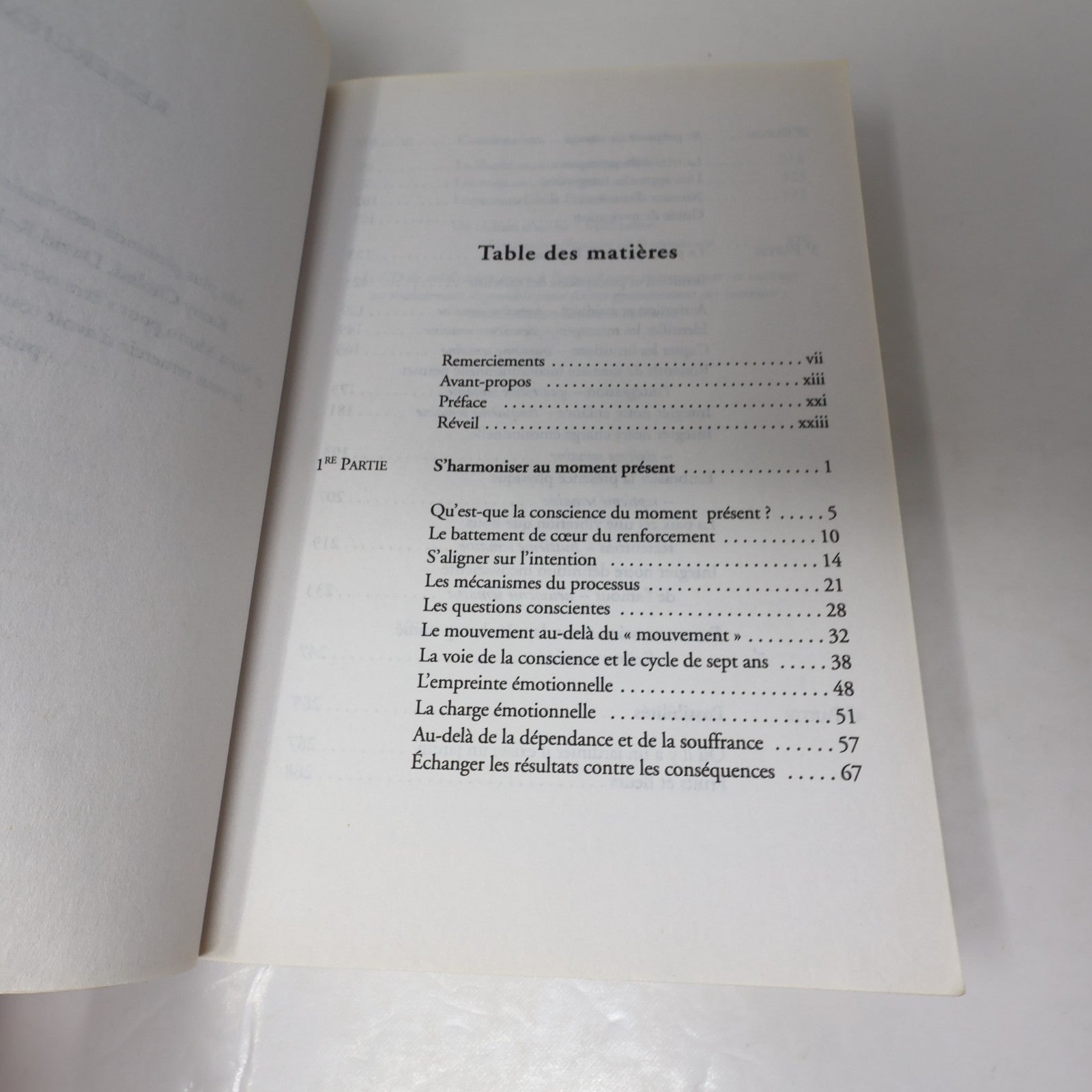 Le Processus de la Présence Michael Brown Ariane 2012 PB Français French Livre