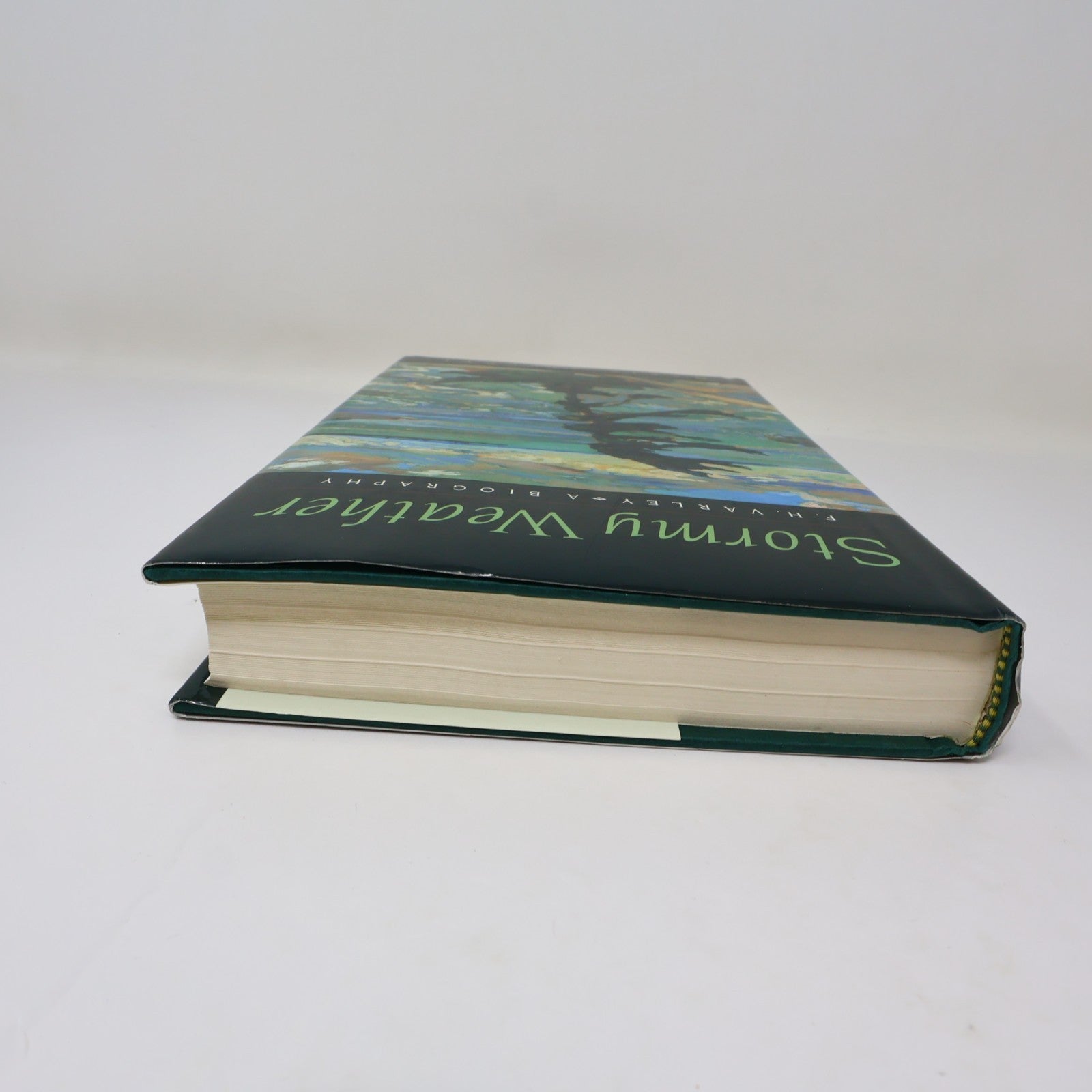 Stormy Weather F.H. Varley a Biography Maria Tippett Mcclelland & Stewart 1998