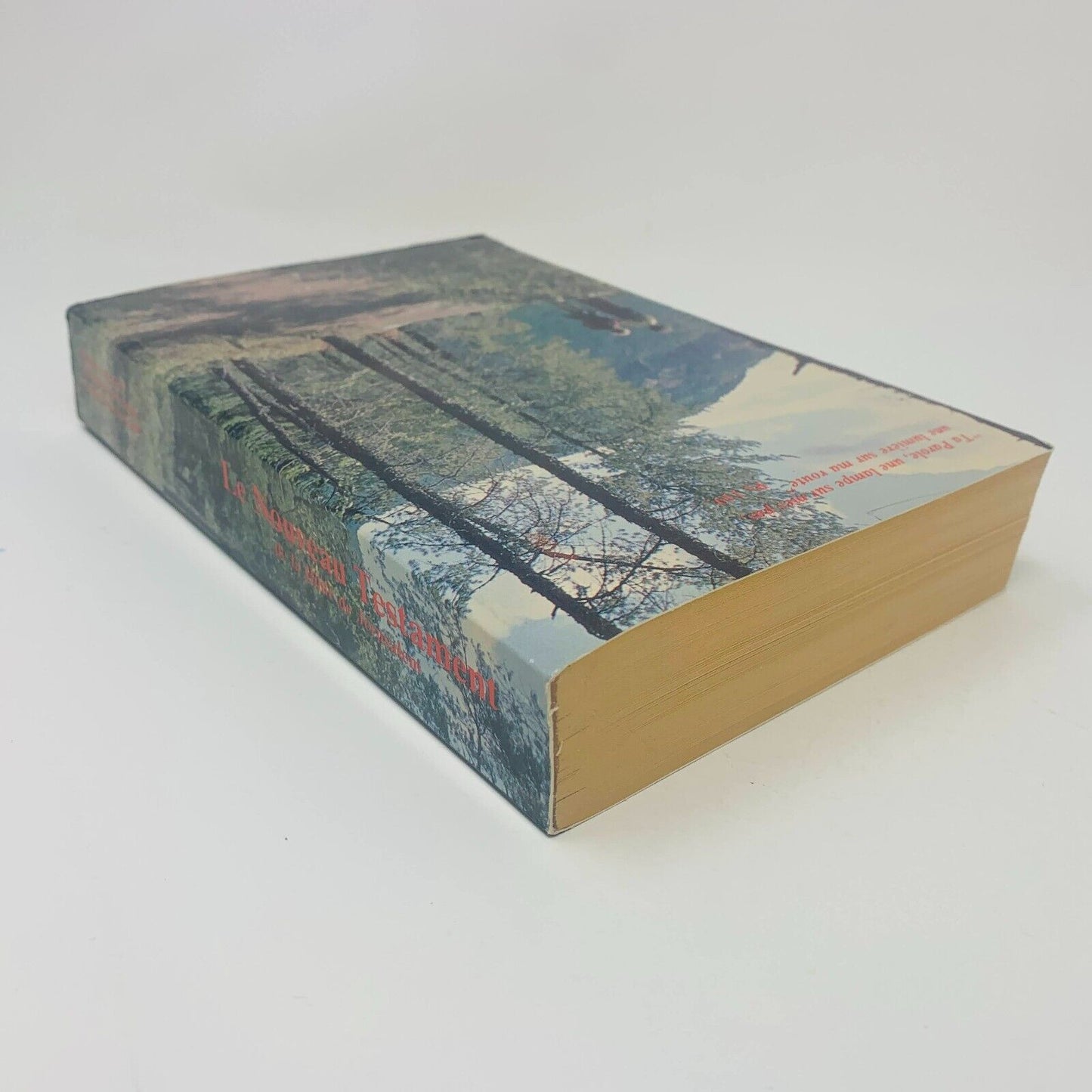 1987 Le Nouveau Testament de la Bible de Jérusalem Anne Sigier / Cerf Français