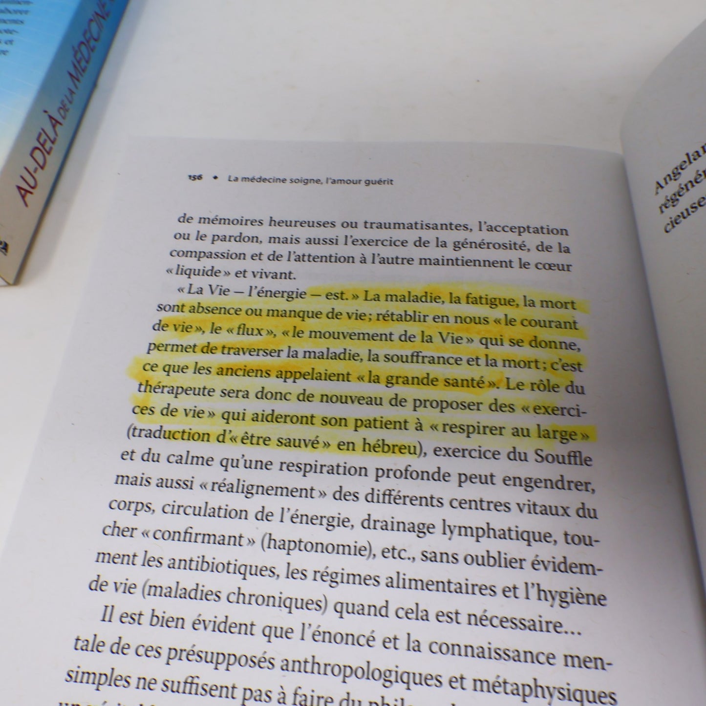 Santé Guérison Médecines Alternatives Lot 5 Livres Français Rankin/Angelard PB