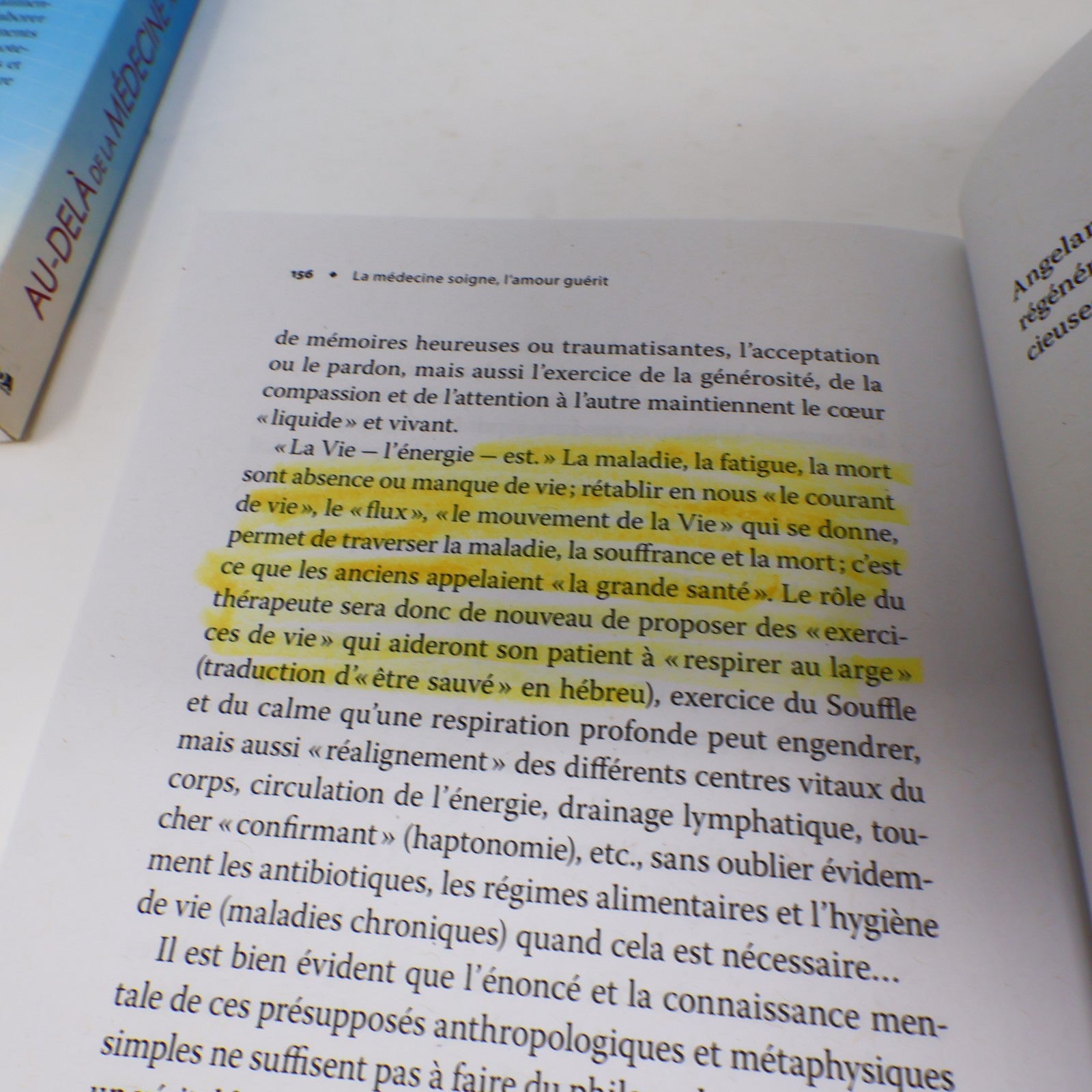 Santé Guérison Médecines Alternatives Lot 5 Livres Français Rankin/Angelard PB