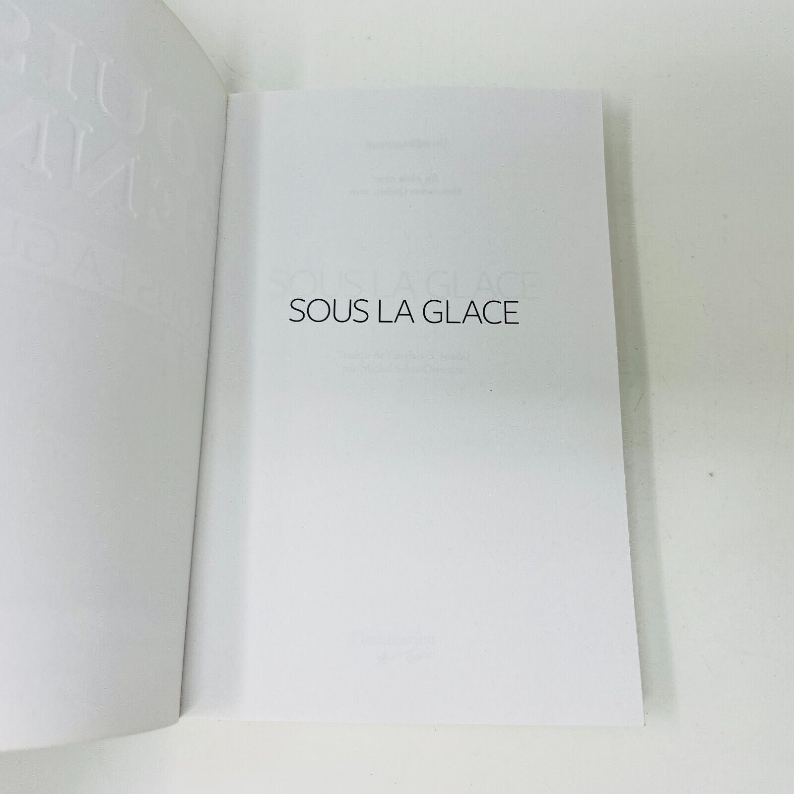 2011 Sous la glace de Louise Penny Armand Gamache Enquête Flammarion en Français