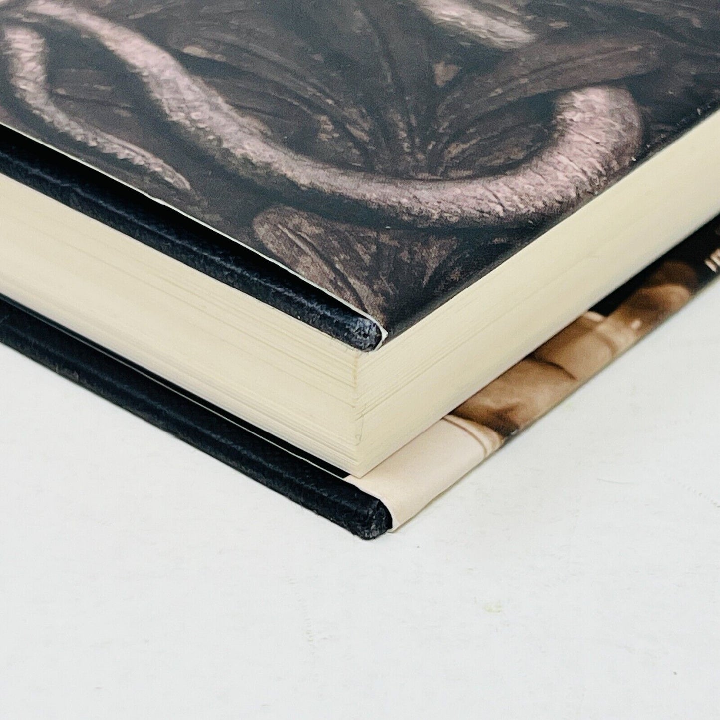 Harry Potter and the Chamber of Secrets Rowling Raincoast Black Cover 1st Print