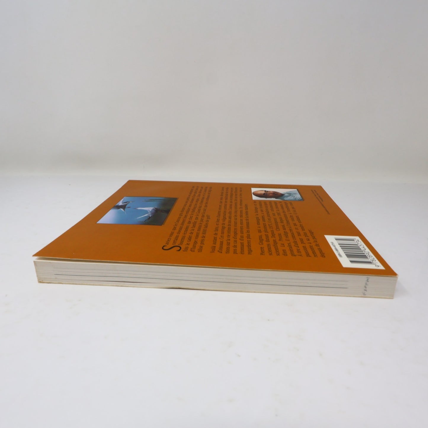 Secrets d'Oiseaux Pierre Gingras Nos Amis les Oiseaux Le Jour 1995 PB Français
