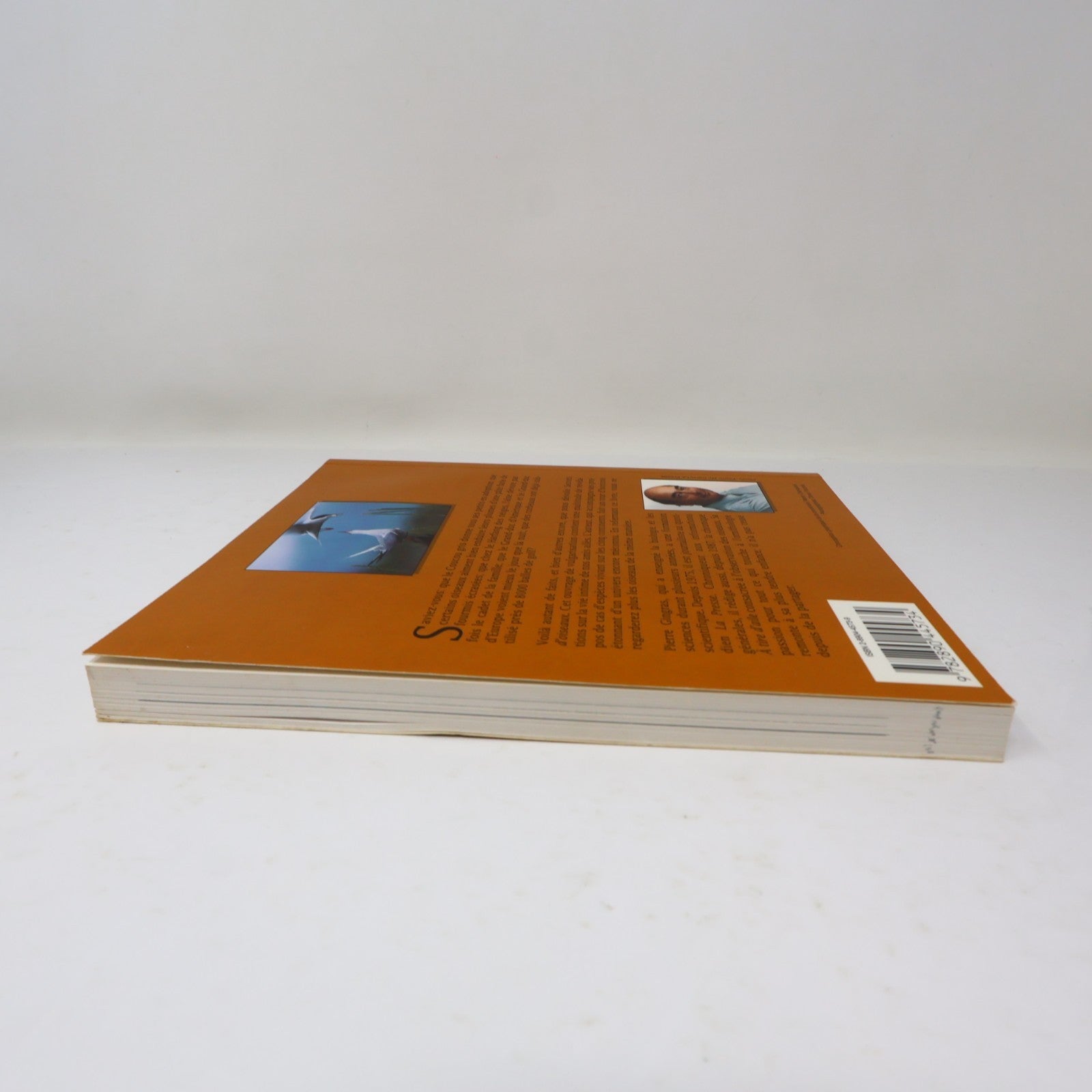 Secrets d'Oiseaux Pierre Gingras Nos Amis les Oiseaux Le Jour 1995 PB Français