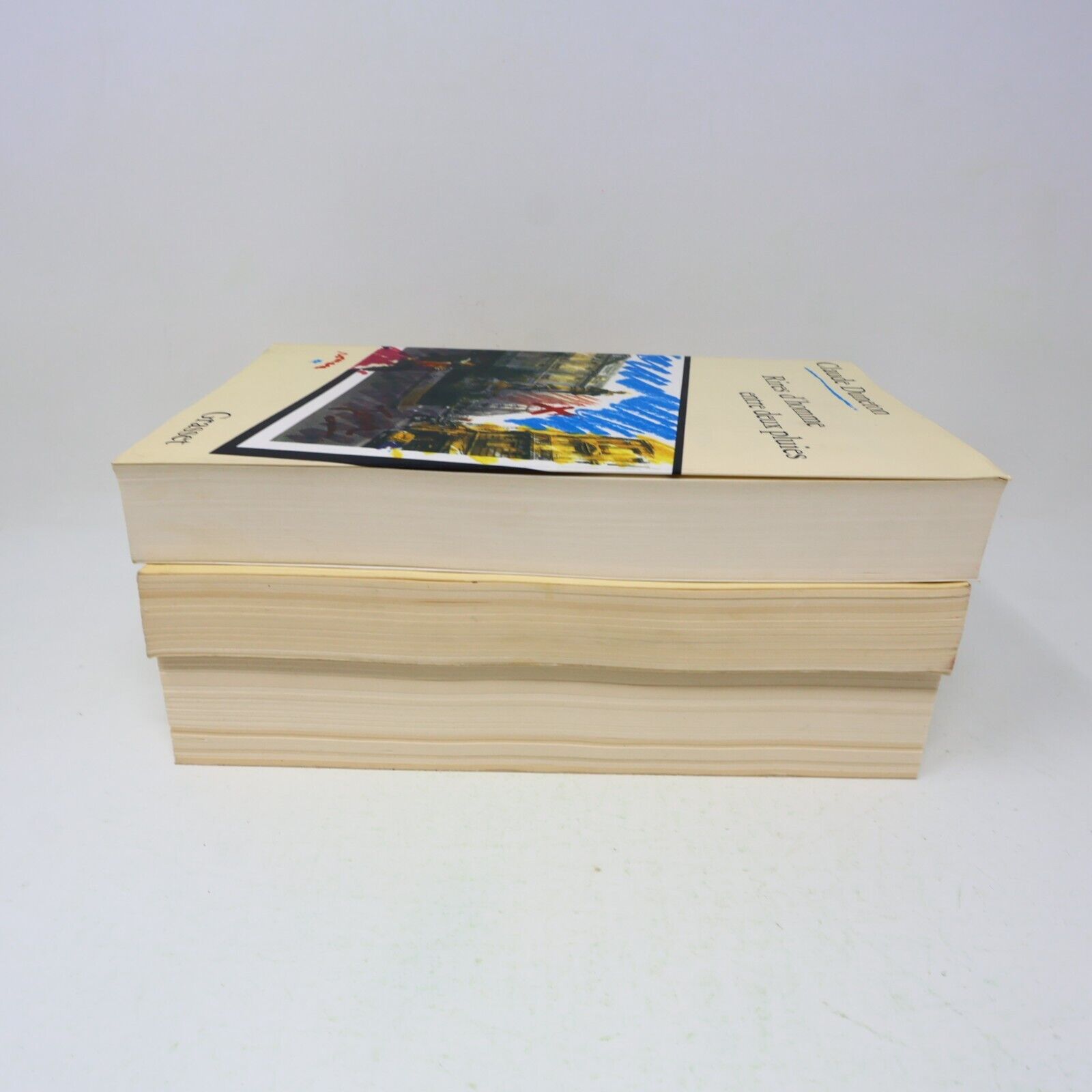 Lot 3 Claude Duneton Diable Sans Porte Petit Louis Dit Xiv Livres Français Roman