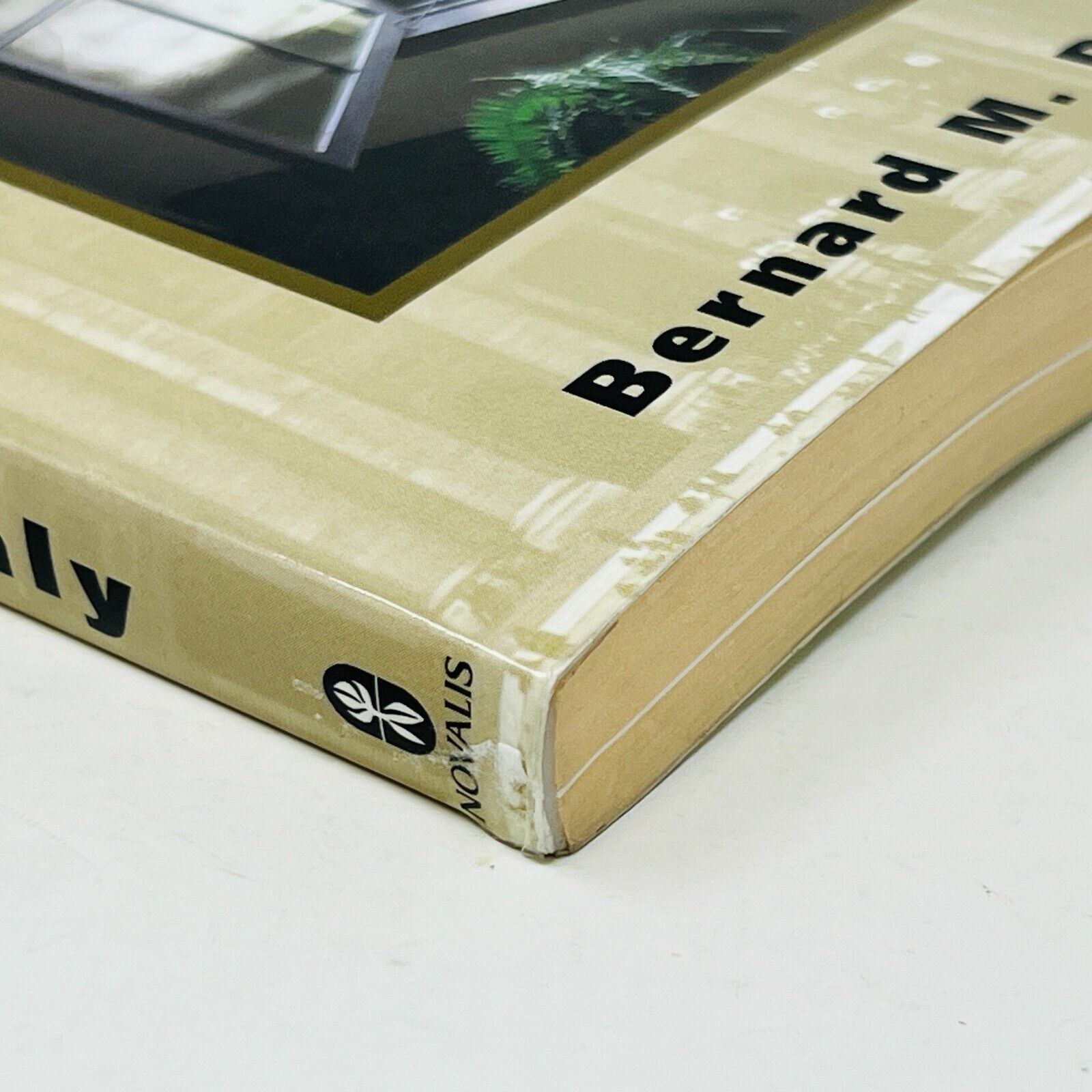 Beyond Secrecy The Untold Story of Canada and the Second Vatican Council PB Daly