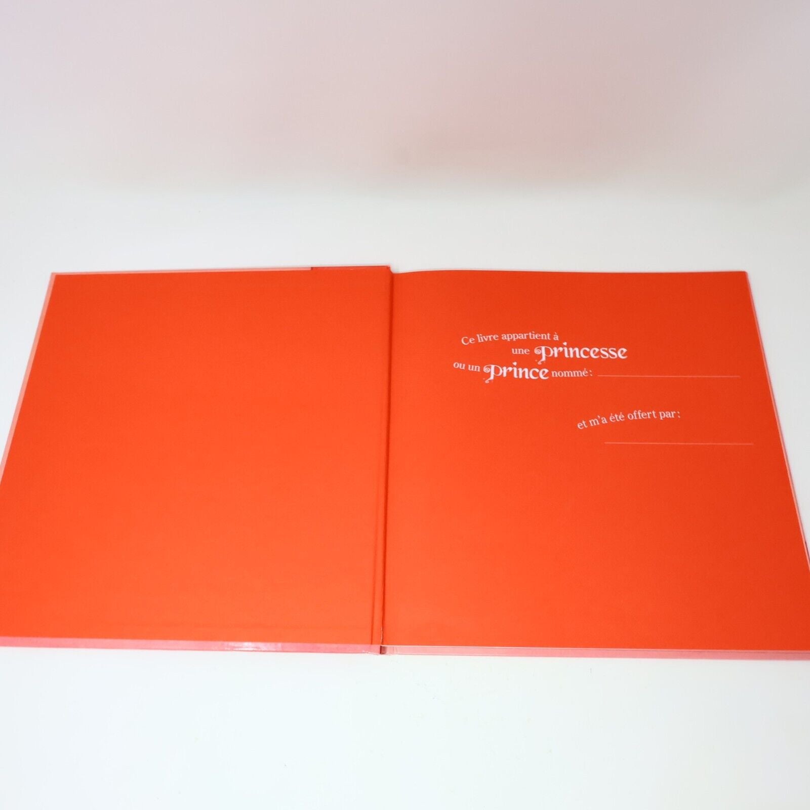 Lot 11 Livres Albums et 1ers Romans Mixés pour Jeunes Enfants Illustrés Français
