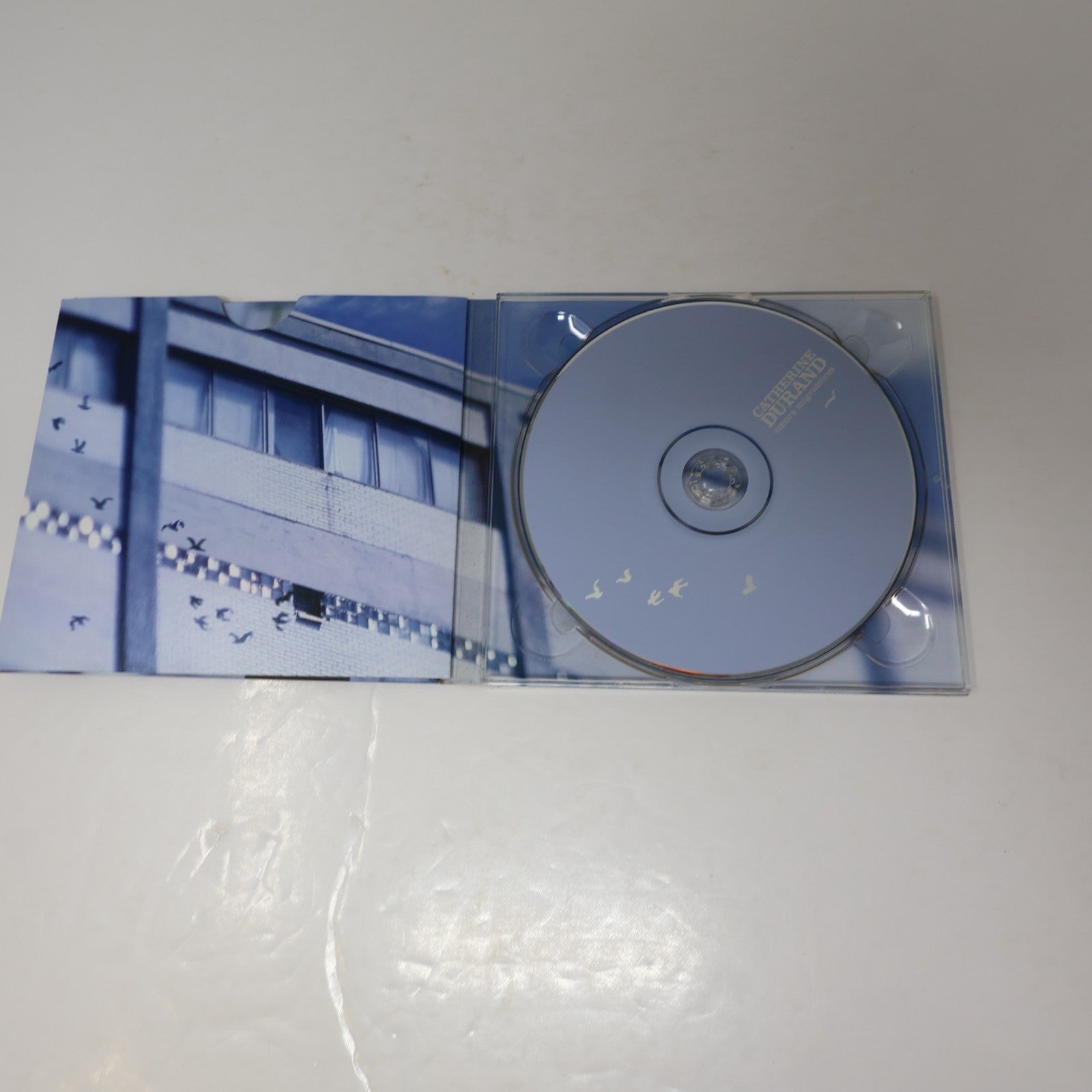 Catherine Durand Lot 2 CD Les Murs Blancs Du Nord/Cœurs Migratoires Coeurs