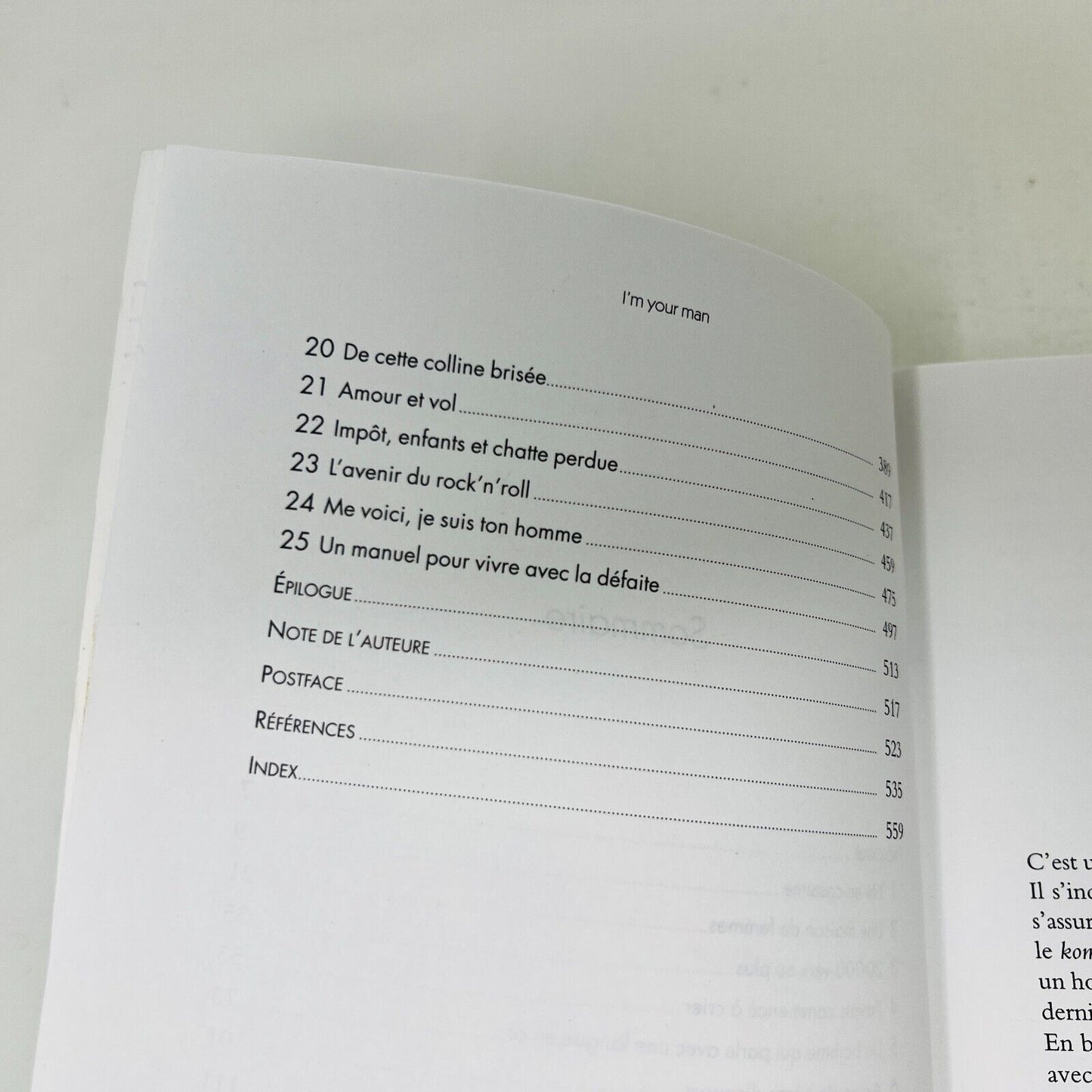 2017 I'm Your Man La Vie de Leonard Cohen Biographie de Sylvie Simmons Français