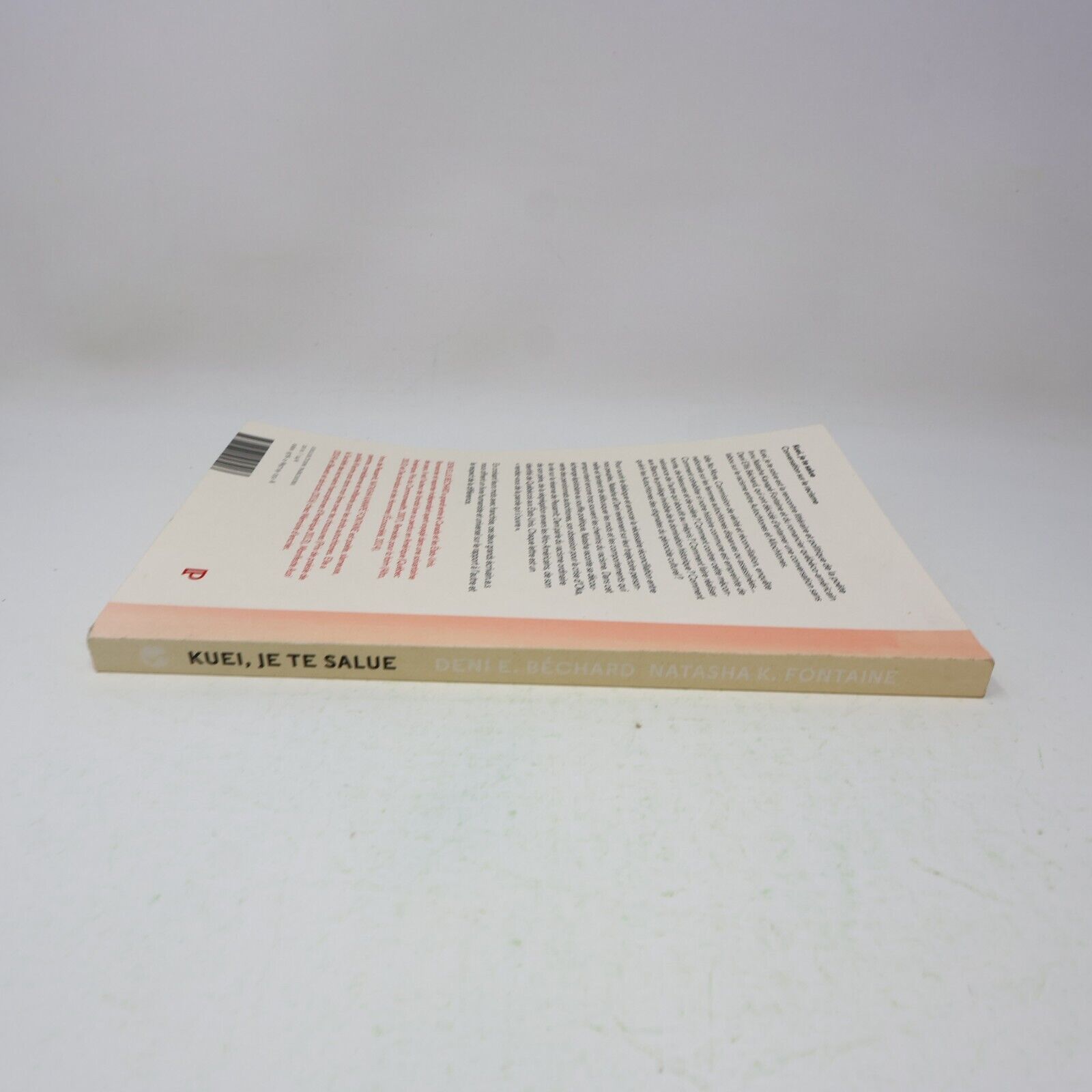 2016 Kuei Je Te Salue Conversation sur le Racisme Écosociété Français Paperback