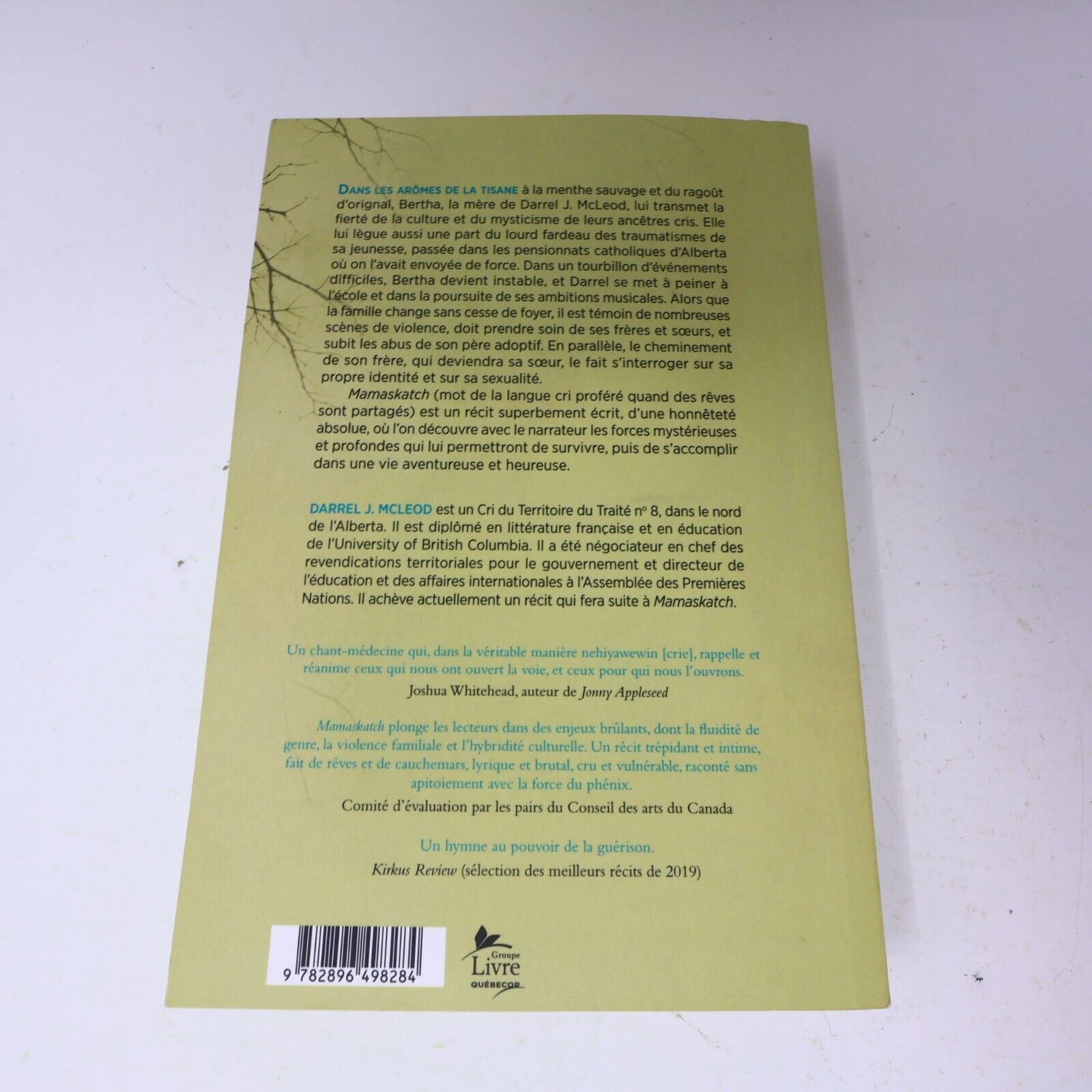 2020 Mamaskatch une Initiation Crie Darrel J. Mcleod Biographie Canada Vlb Livre