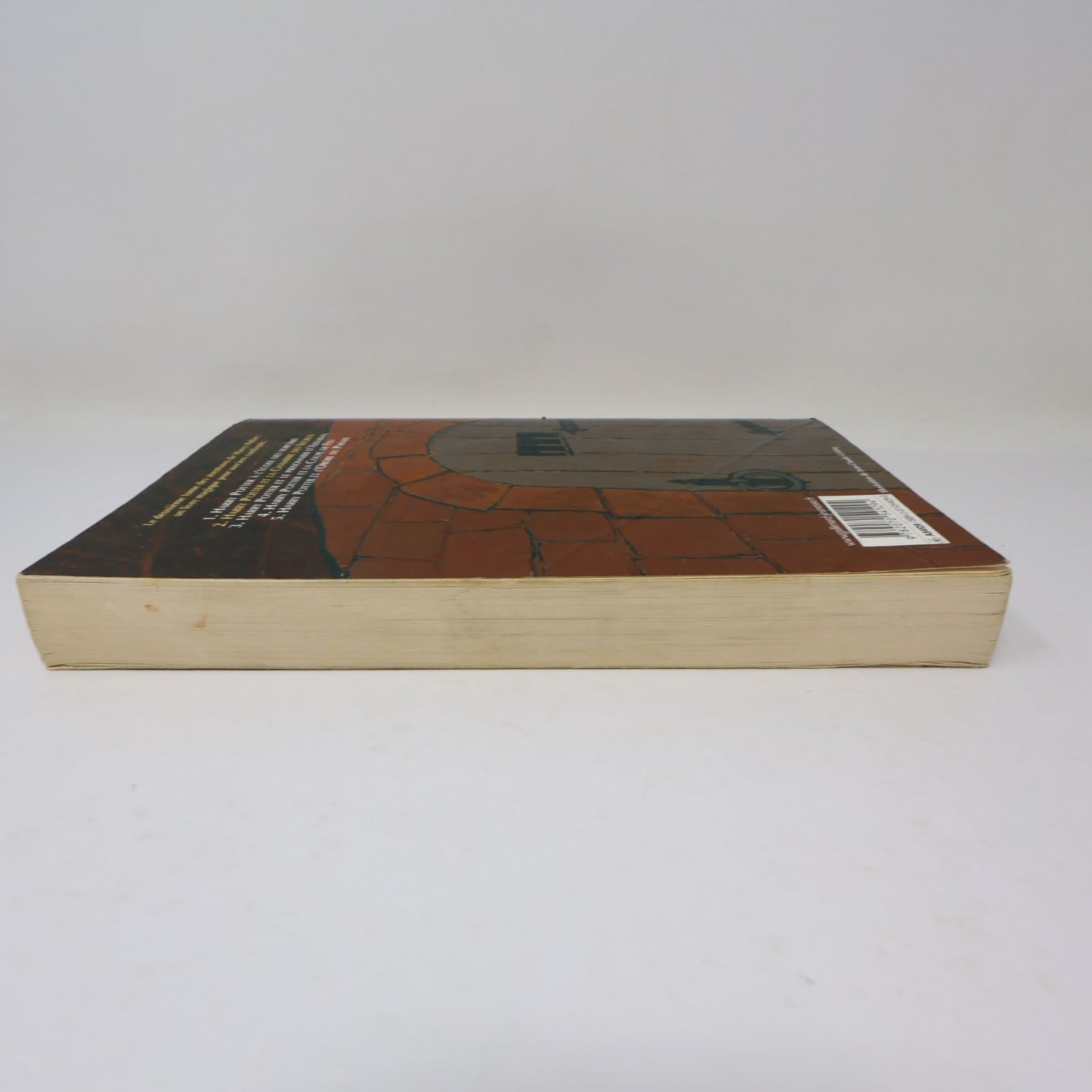 Harry Potter et la Chambre des Secrets J.K. Rowling 2005 PB Grand Format Livre