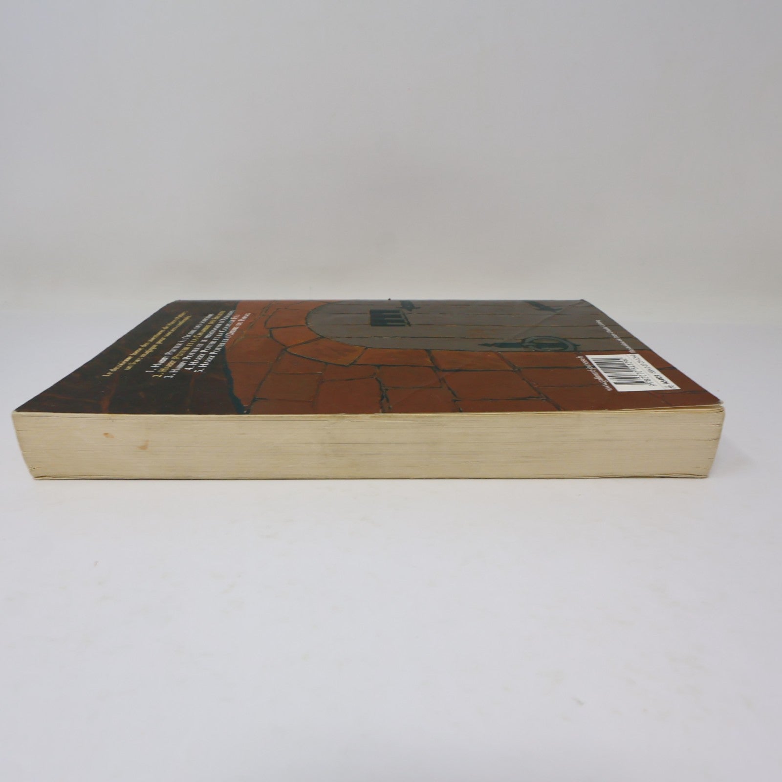 Harry Potter et la Chambre des Secrets J.K. Rowling 2005 PB Grand Format Livre