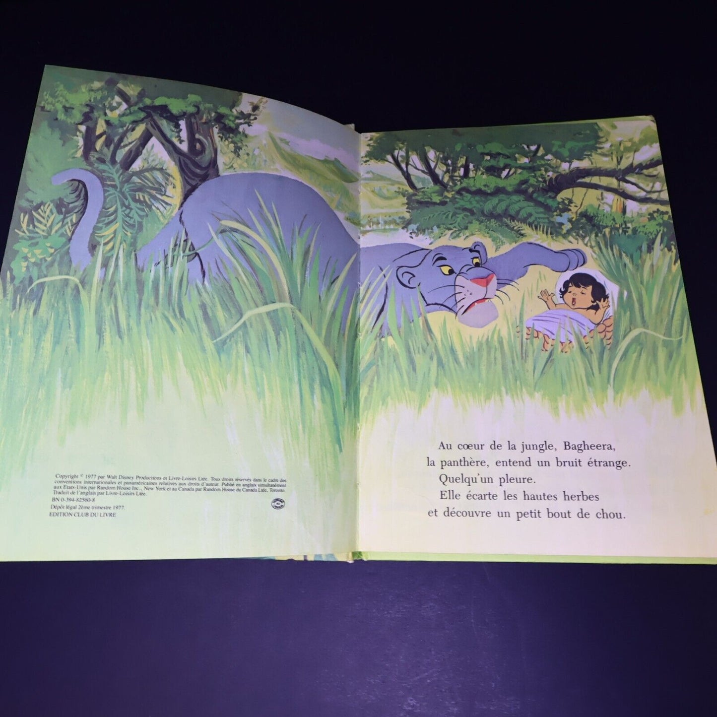 Lot 16 Livres Les Livres Merveilleux de Disney Enfants Livre Loisirs Français HC