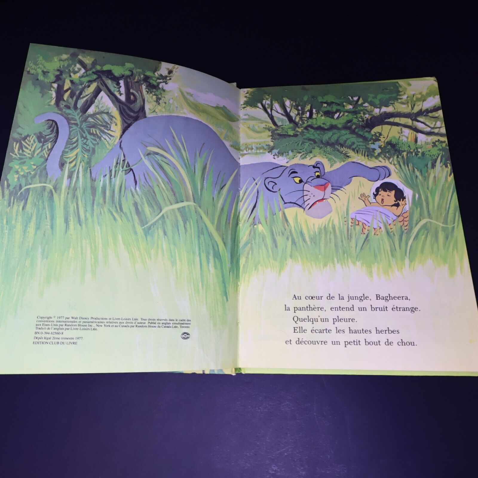 Lot 16 Livres Les Livres Merveilleux de Disney Enfants Livre Loisirs Français HC