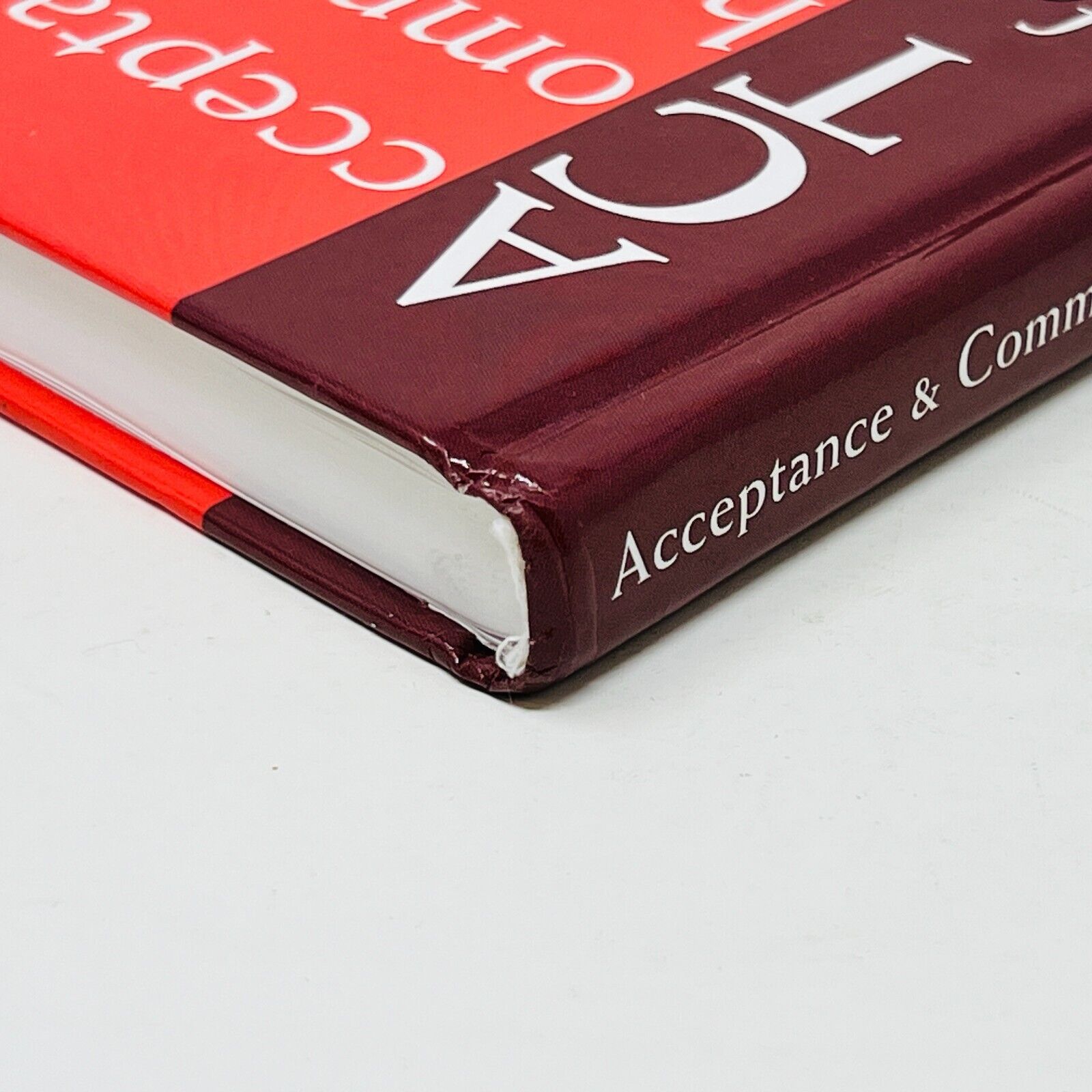 2010 Acceptance and Commitment Therapy for Body Image Dissatisfaction Hardcover