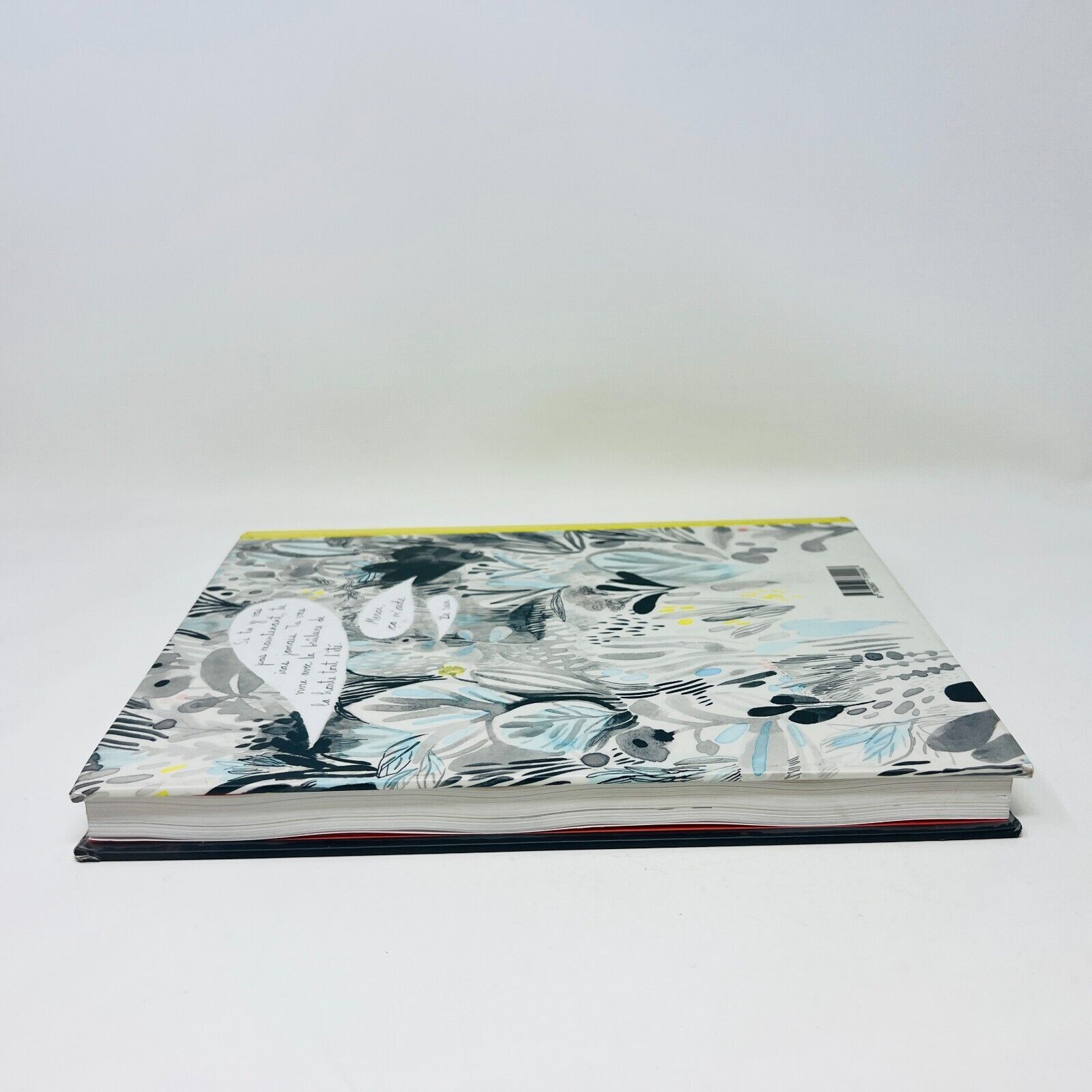 2016 Louis Parmi les Spectres de Isabelle Arsenault/Fanny Britt La Pastèque BD