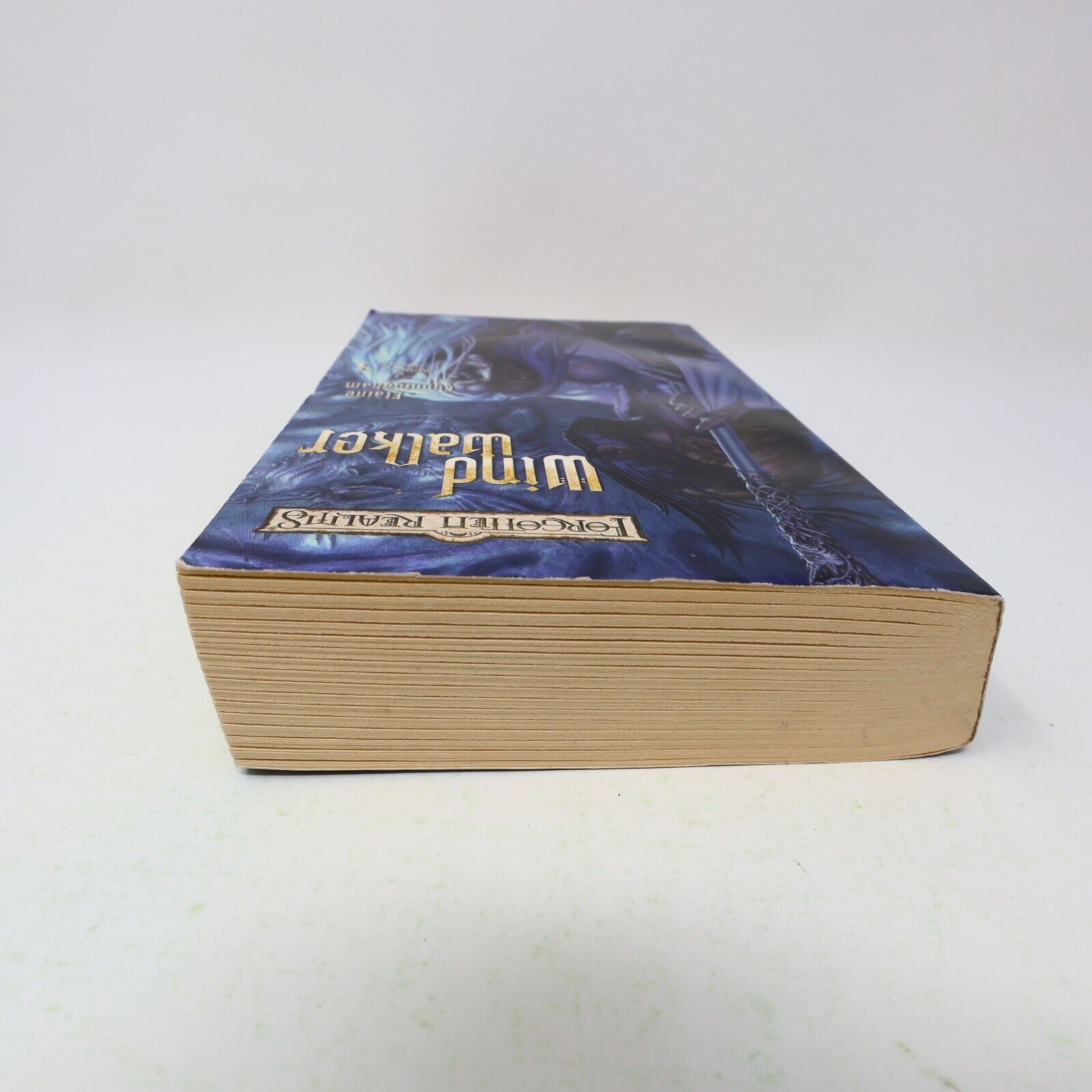Starlight & Shadows #3 Windwalker Elaine Cunningham Forgotten Realms 2004 WOC PB