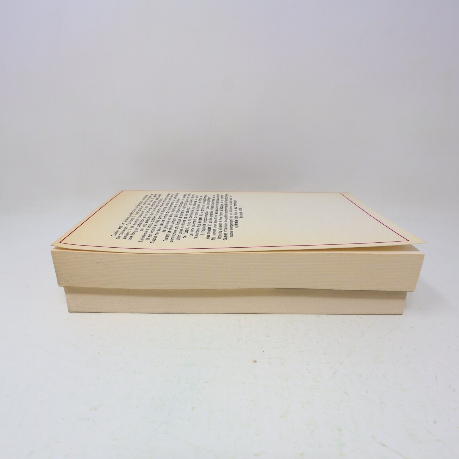 Lot 2 Edgar-Lawrence Doctorow Le Plongeon Lumme Le Livre de Daniel Français 80s