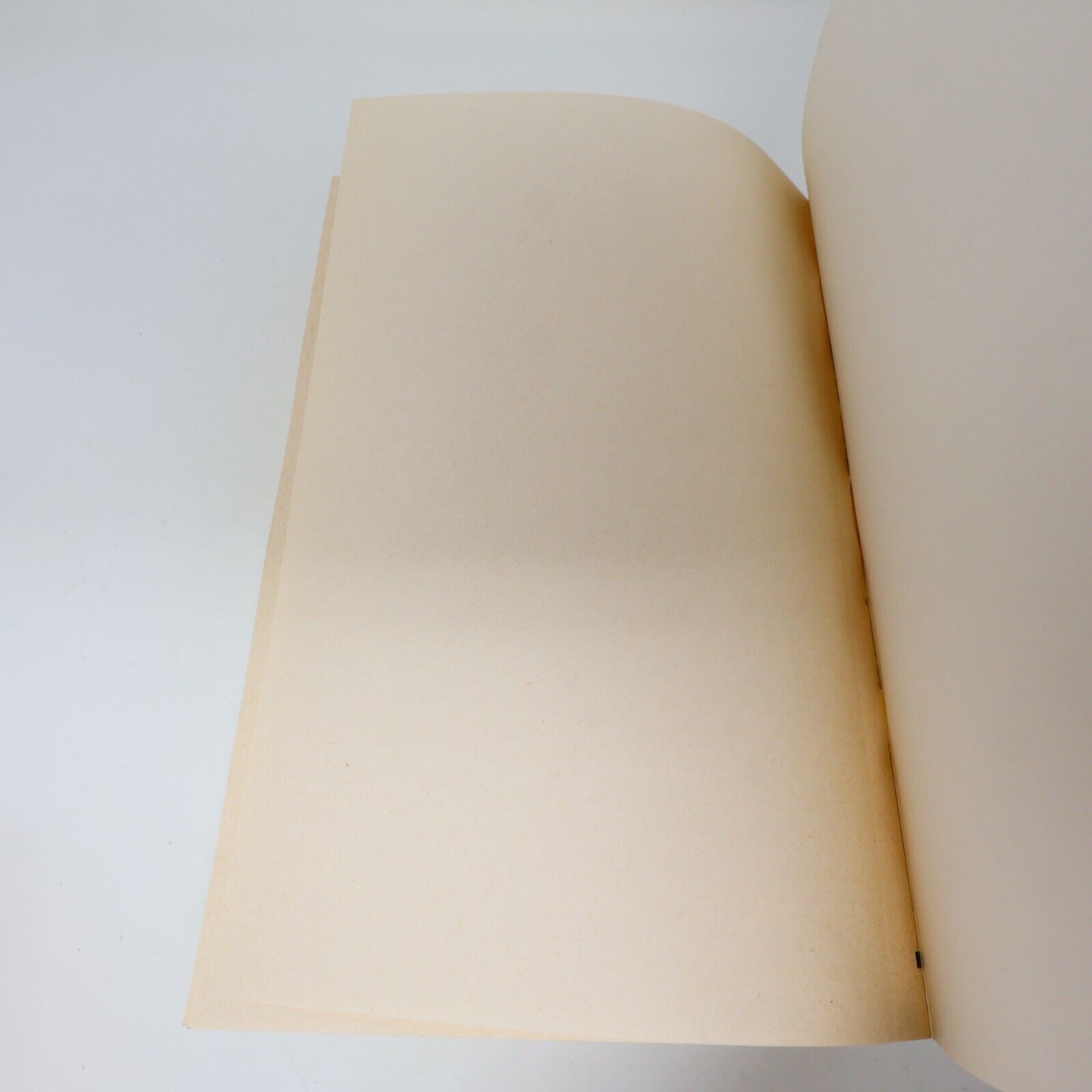Lot 2 Joseph Balsamo #1-2 Alexandre Dumas Livres 1972 Série Complète Roman 70s