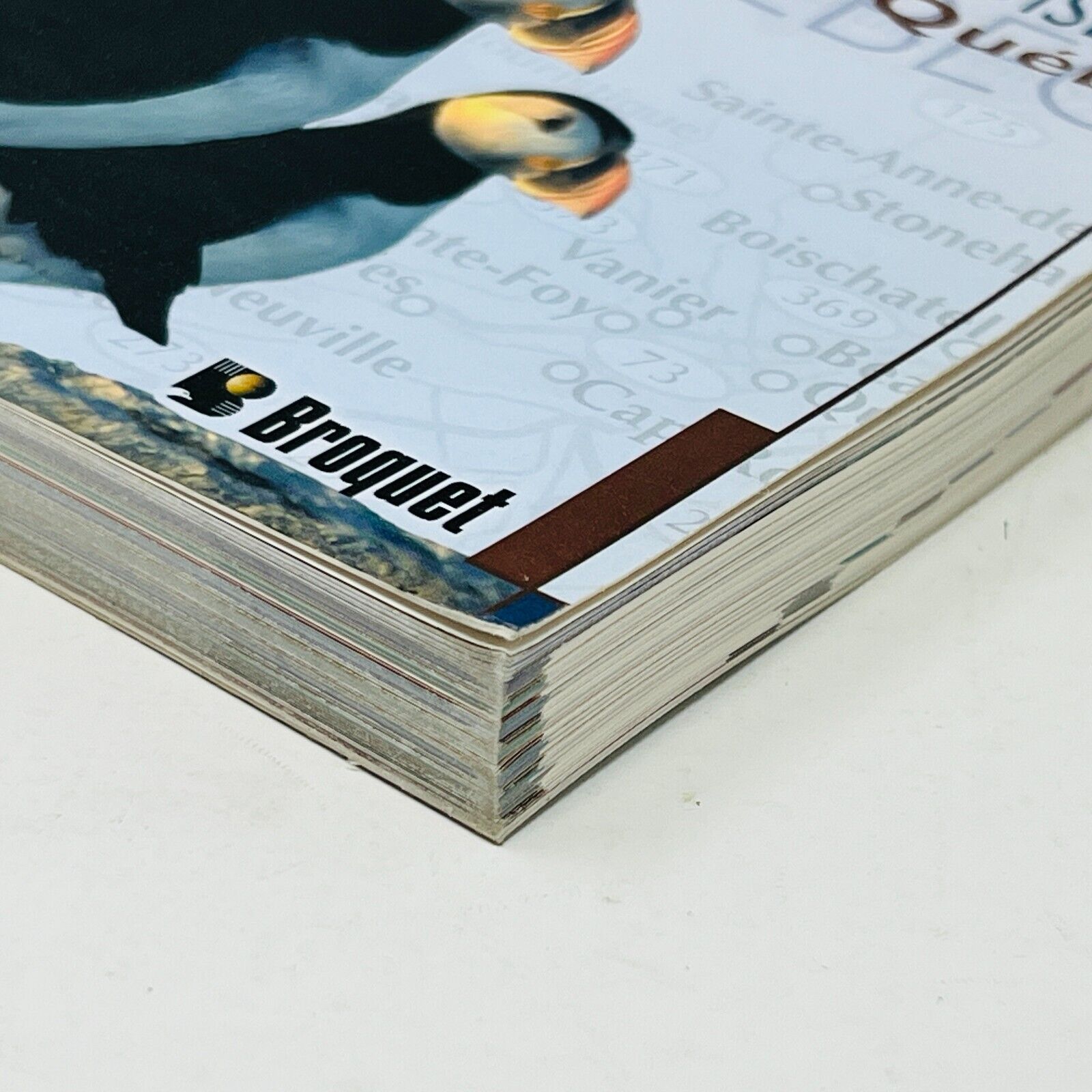 2004 Sites d'Observation d'Oiseaux au Québec Livre de Jean-Pierre Pratte Broquet