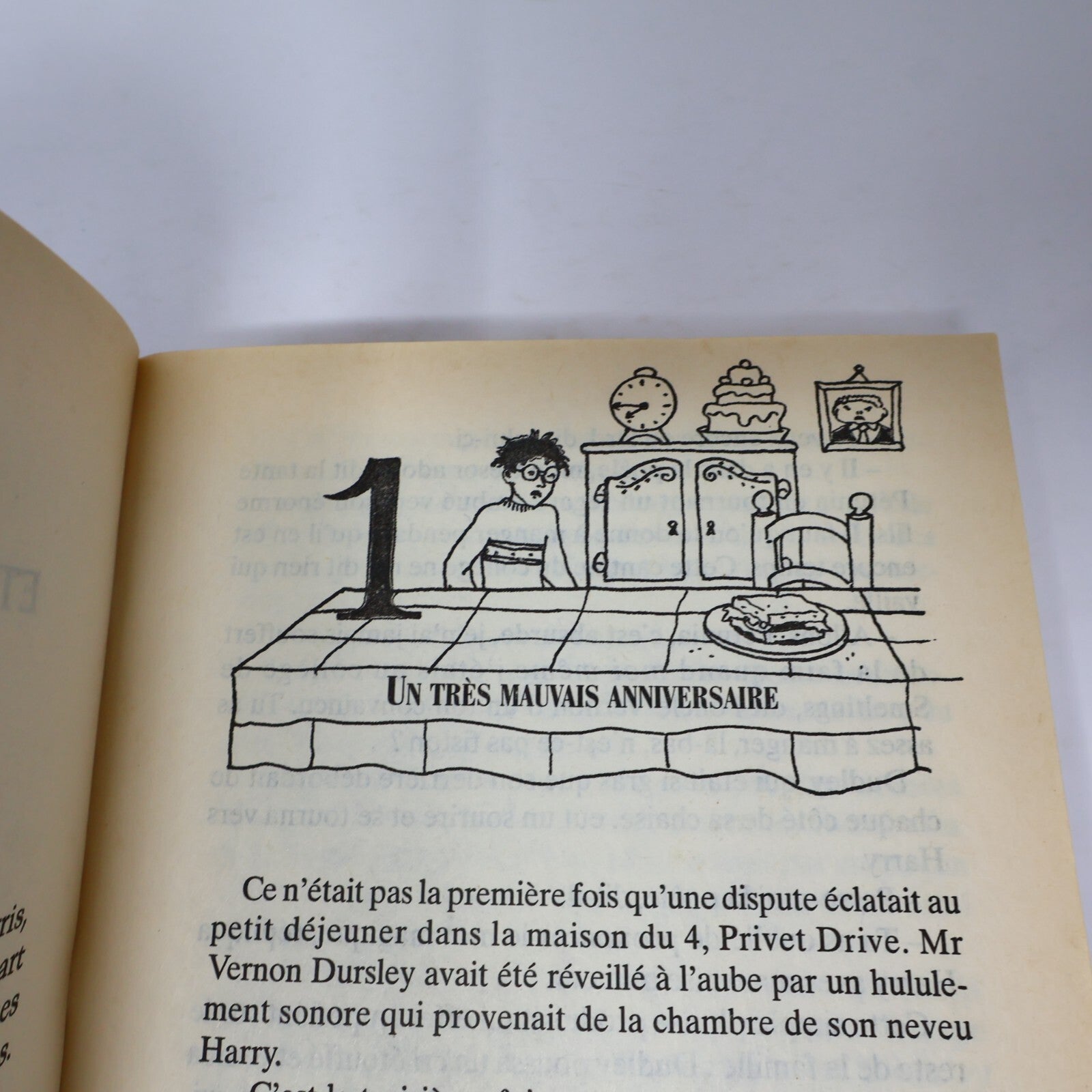 Harry Potter et la Chambre des Secrets Livre Première Édition Illustrée Mar 1999