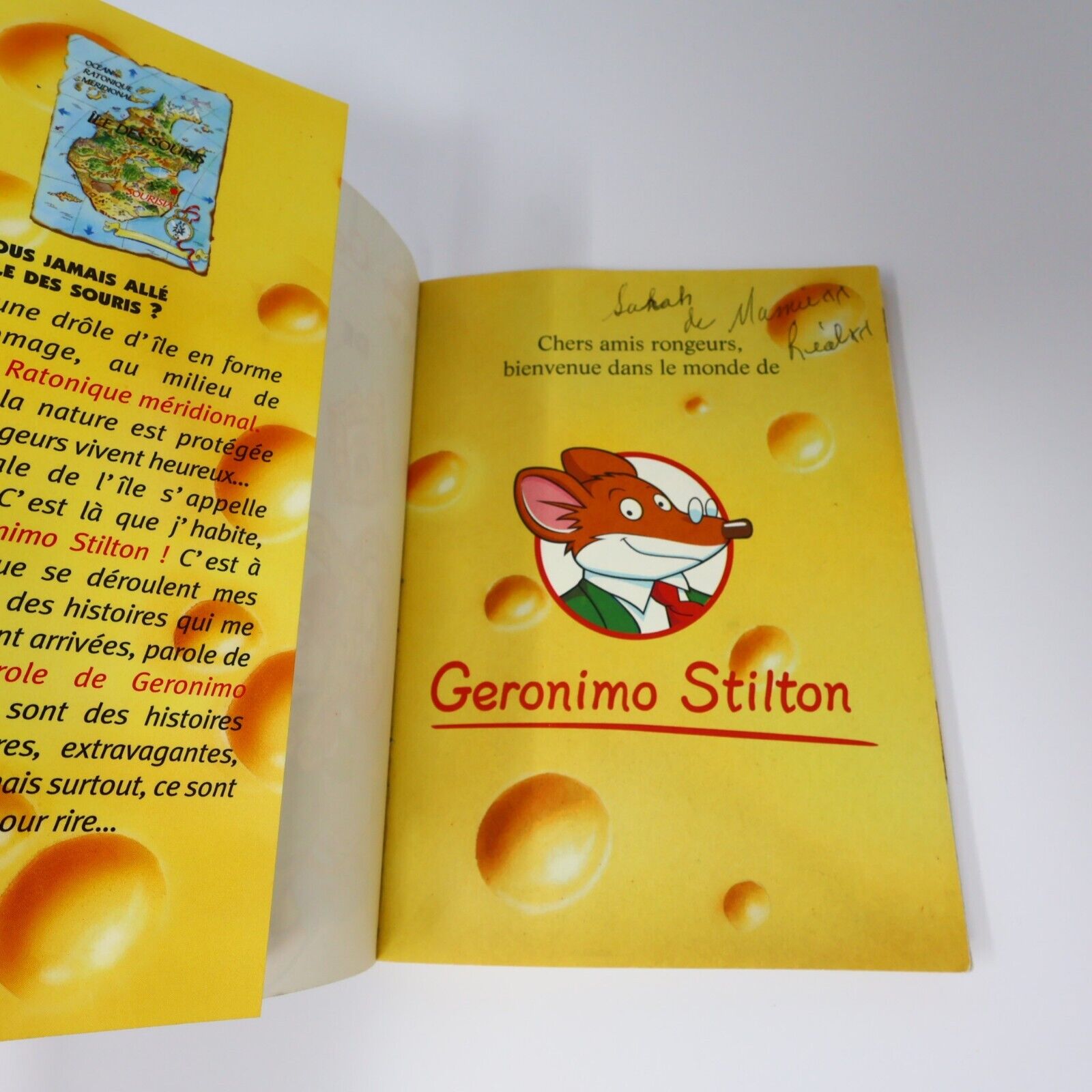 Lot 8 Livres Geronimo/Téa Stilton Stilton Jeunes Enfants Albin Michel Français