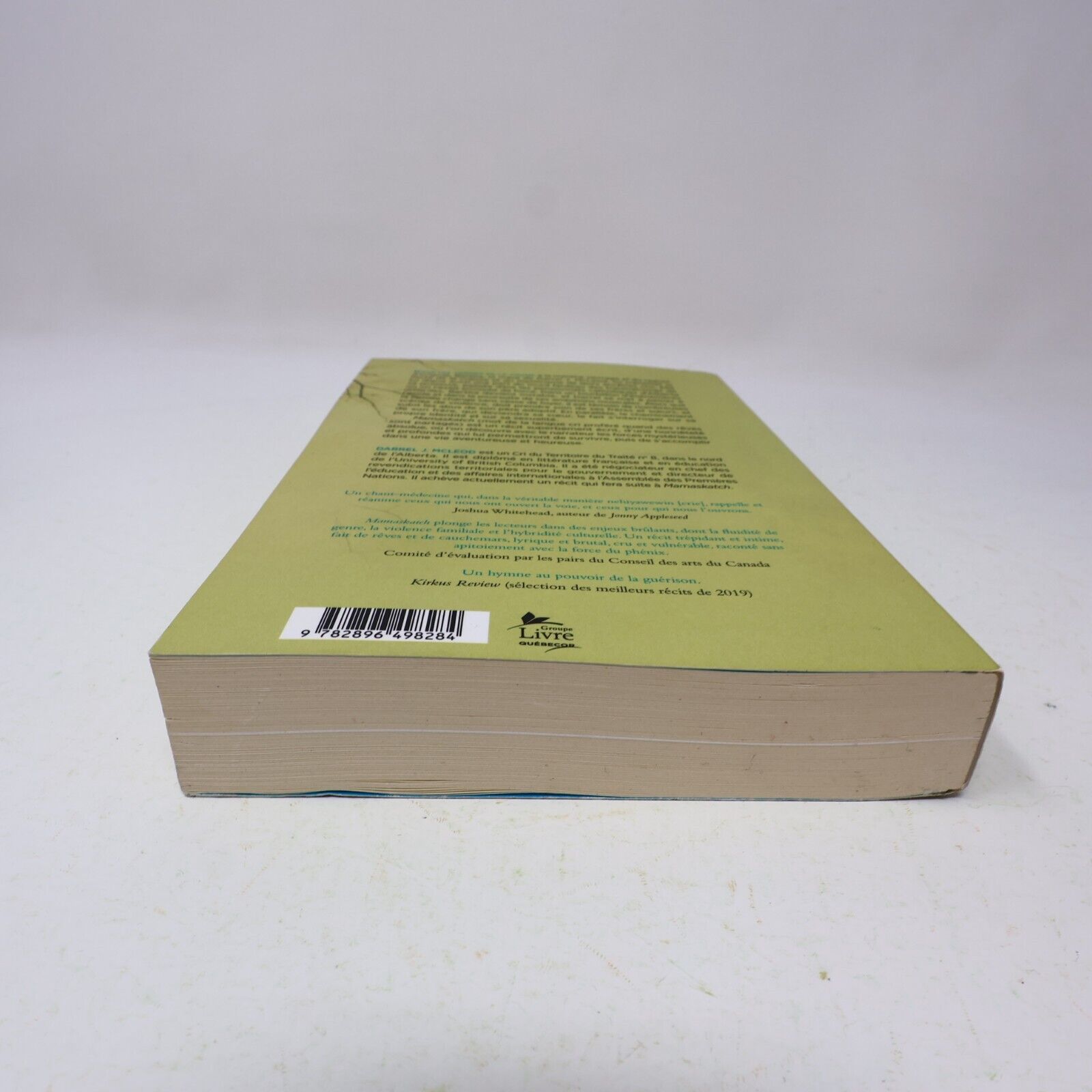 2020 Mamaskatch une Initiation Crie Darrel J. Mcleod Biographie Canada Vlb Livre
