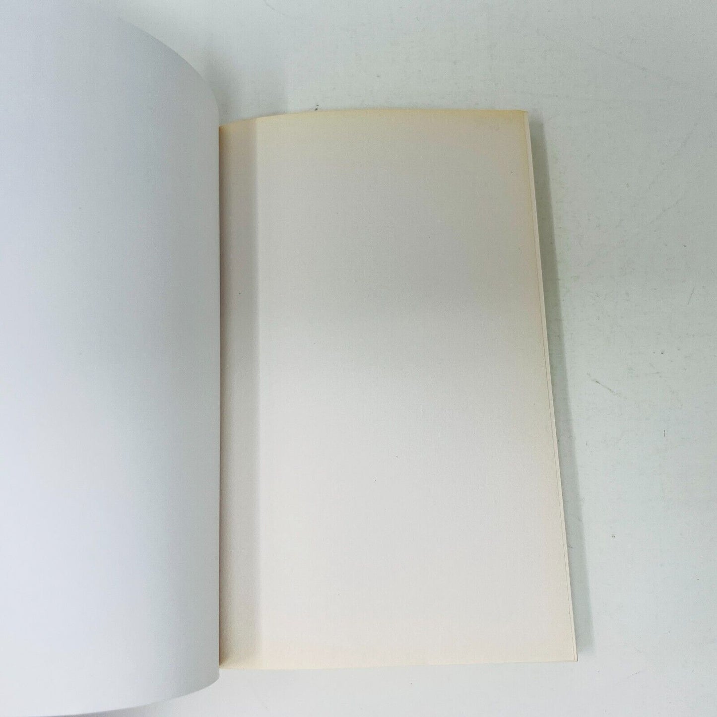 2004 Le Syndrome de l'Incube de Mireille Thibault Français Livre Louise Courteau