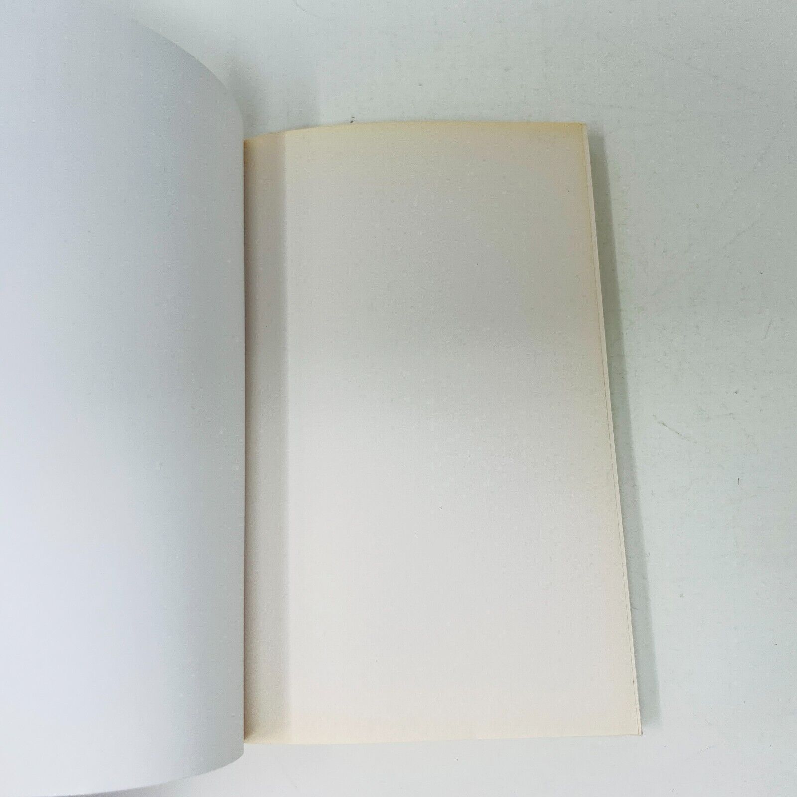 2004 Le Syndrome de l'Incube de Mireille Thibault Français Livre Louise Courteau