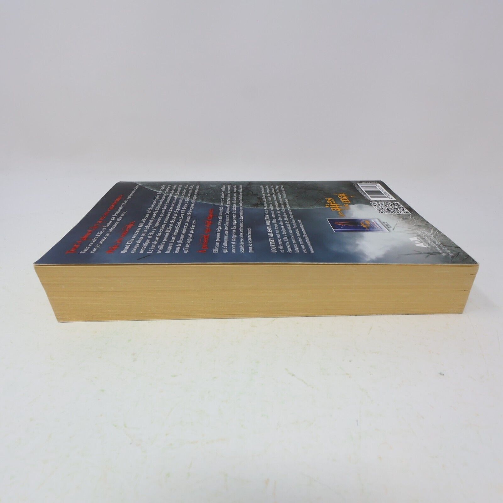 Feu d'Ange #1 Courtney Allison Moulton 2013 Ada Français Paperback Fantasy Livre
