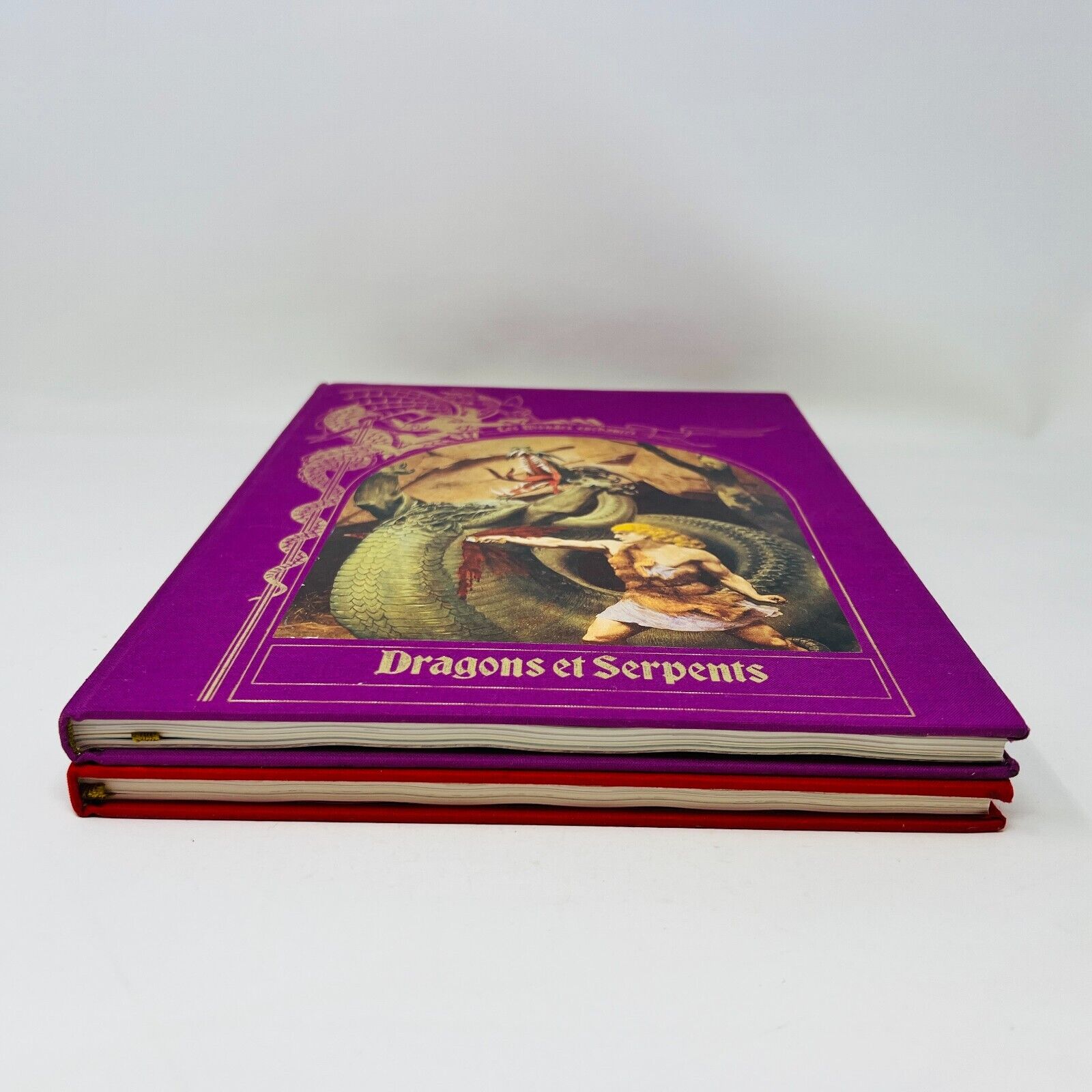 Dragons et Serpents/Sorcières Magiciens Lot Mondes Enchantés Time Life Français