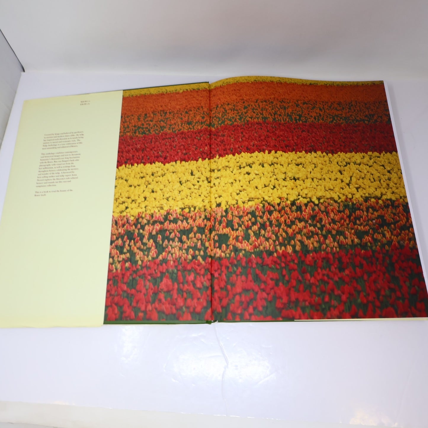 The Tulip Anthology Ron Van Dongen Chronicle Books 2010 HC DJ Art Photography