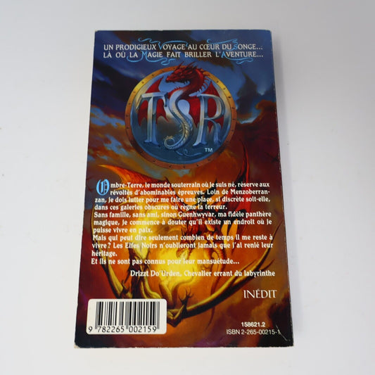 1994 Terre d'Exil Royaumes Oubliés #5 de R. A. Salvatore Forgotten Realms PB 90s