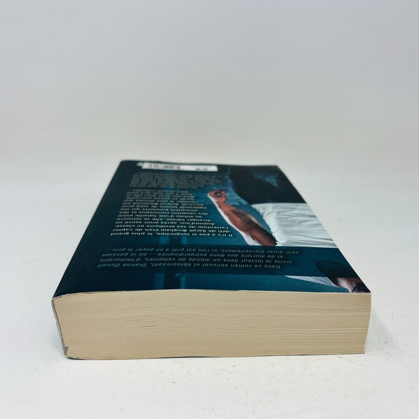 À l'Aube des Ténèbres Les Gardiens Immortels Tome 1 de Dianne Duval Français Ada