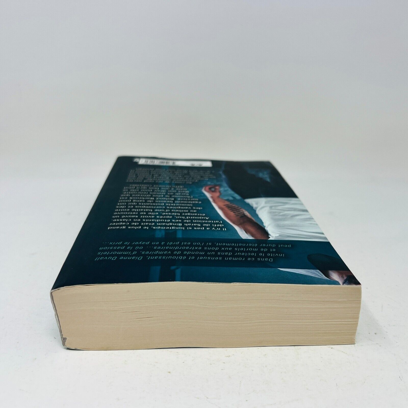 À l'Aube des Ténèbres Les Gardiens Immortels Tome 1 de Dianne Duval Français Ada
