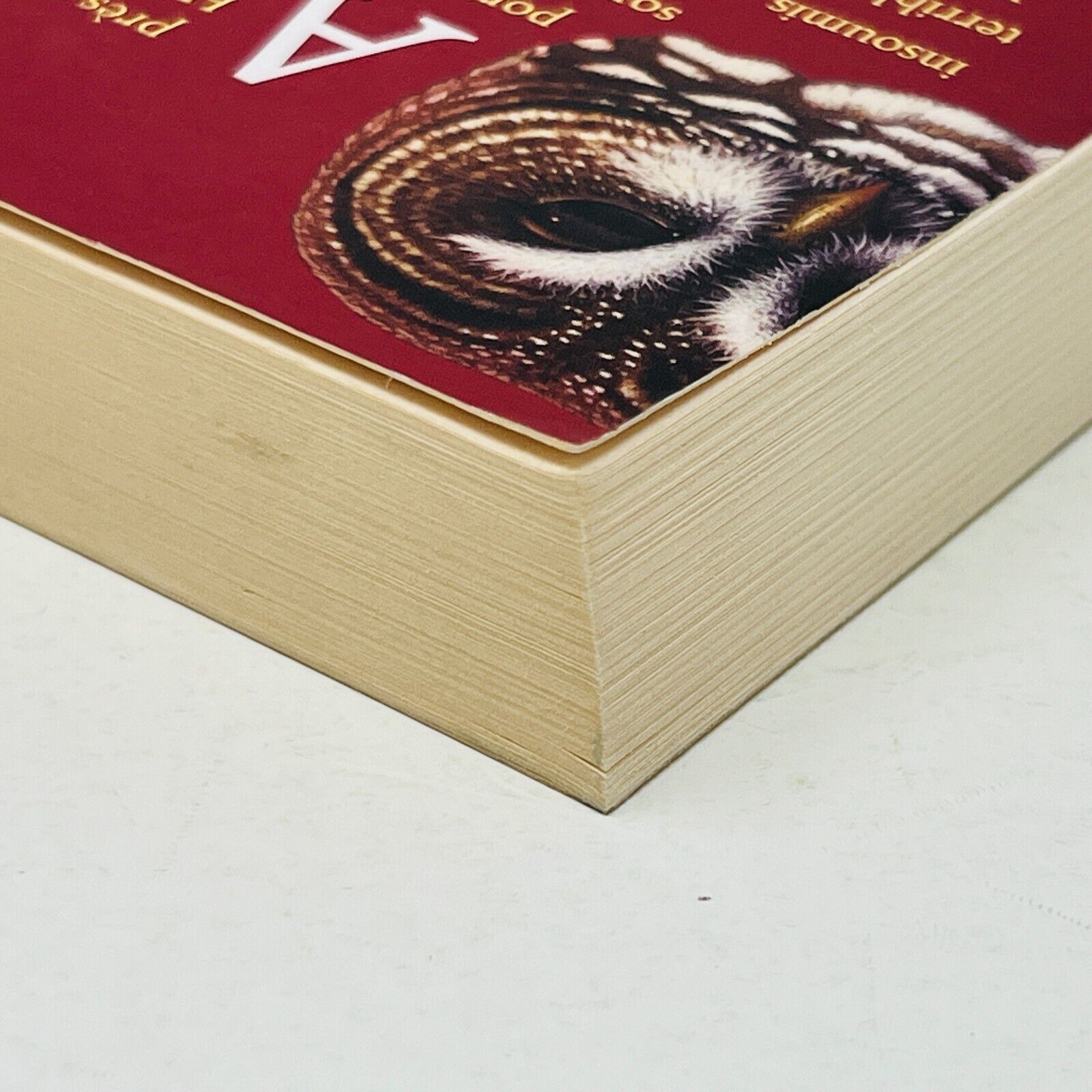 Les Gardiens de Ga'Hoole Tome 11 La Reconquête de Kathryn Lasky Pocket Français